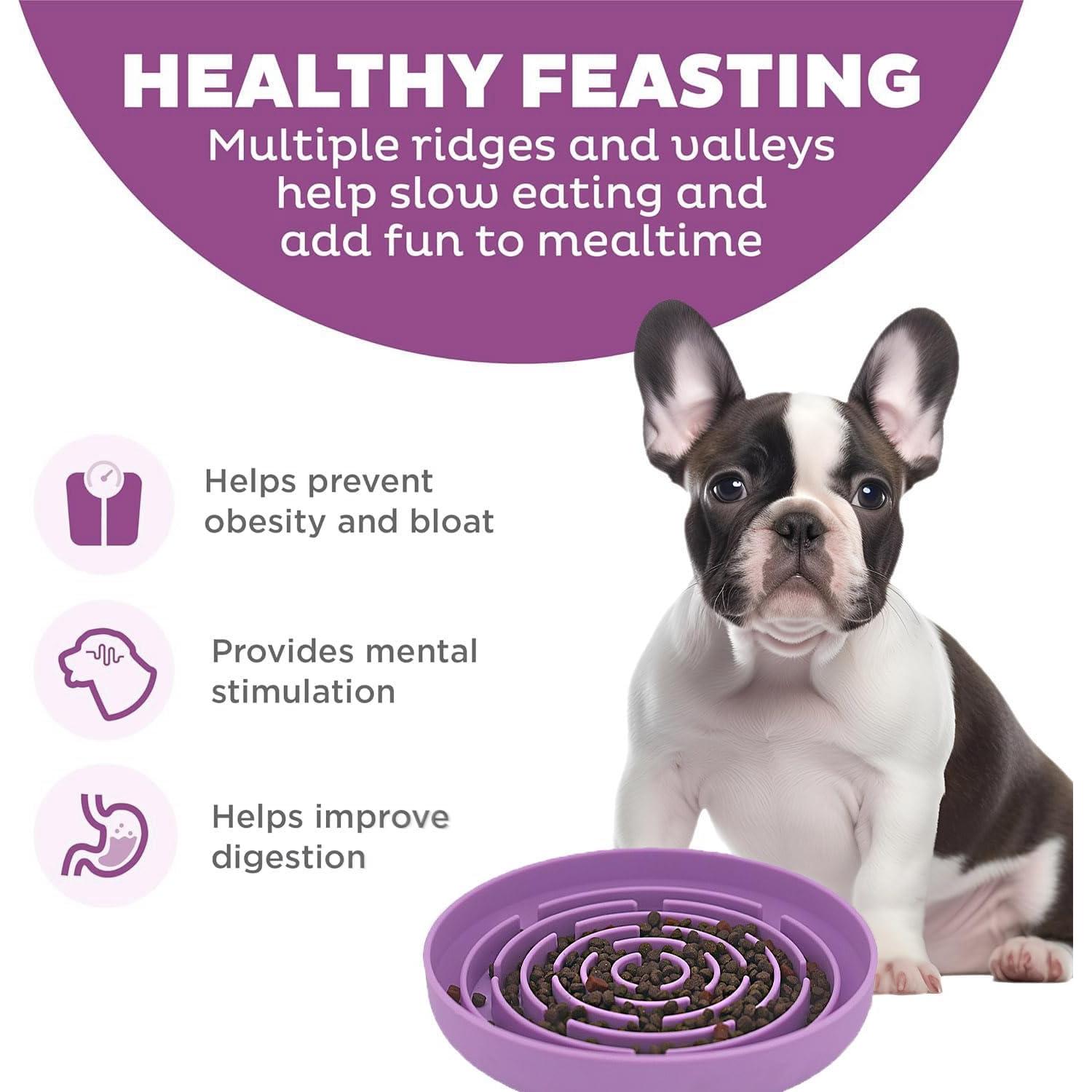 Cuenco de Alimentación Lento Azyh para Perros y Gatos 20cm