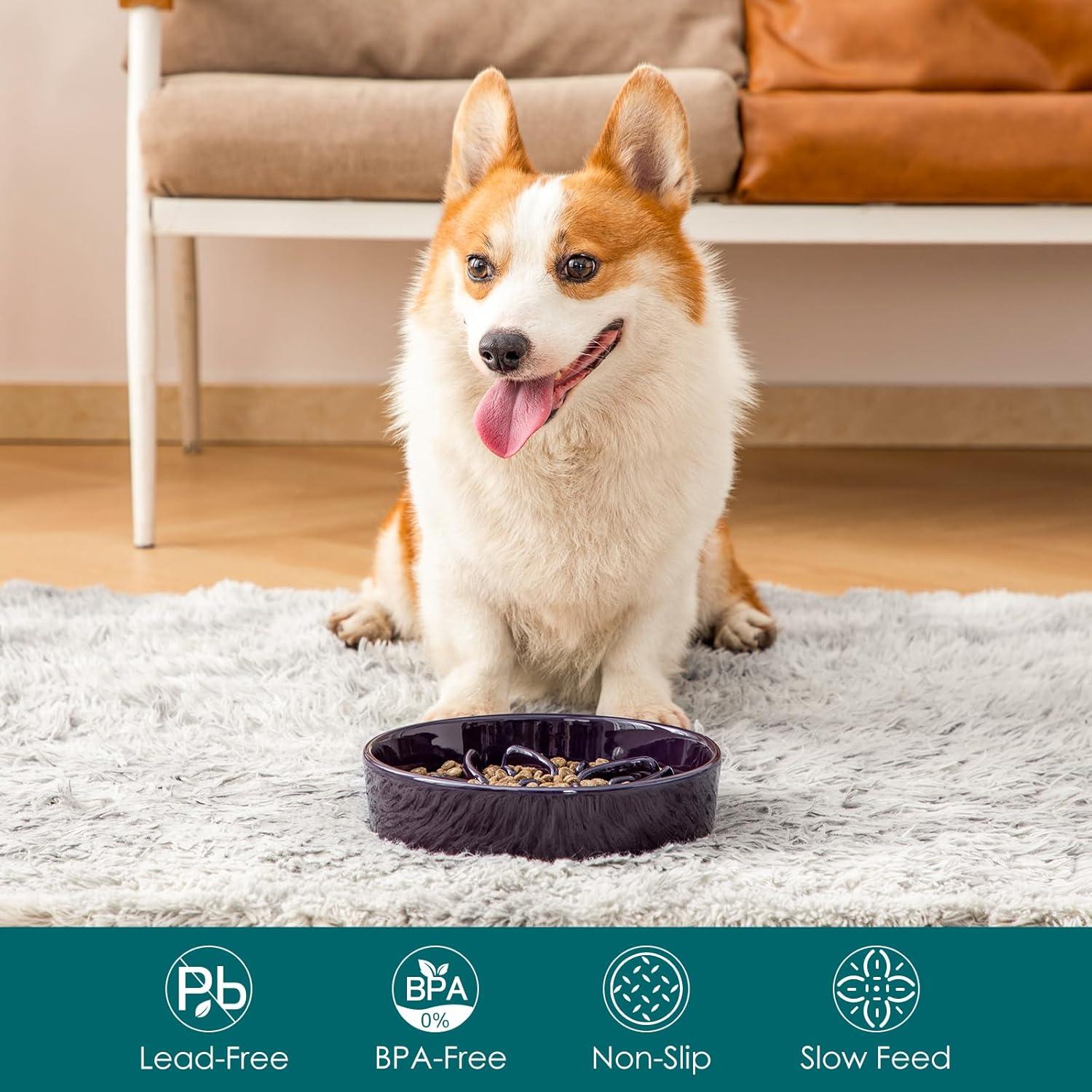 Cuenco de Cerámica Antideslizante para Perros Vancasso 1.5 Tazas