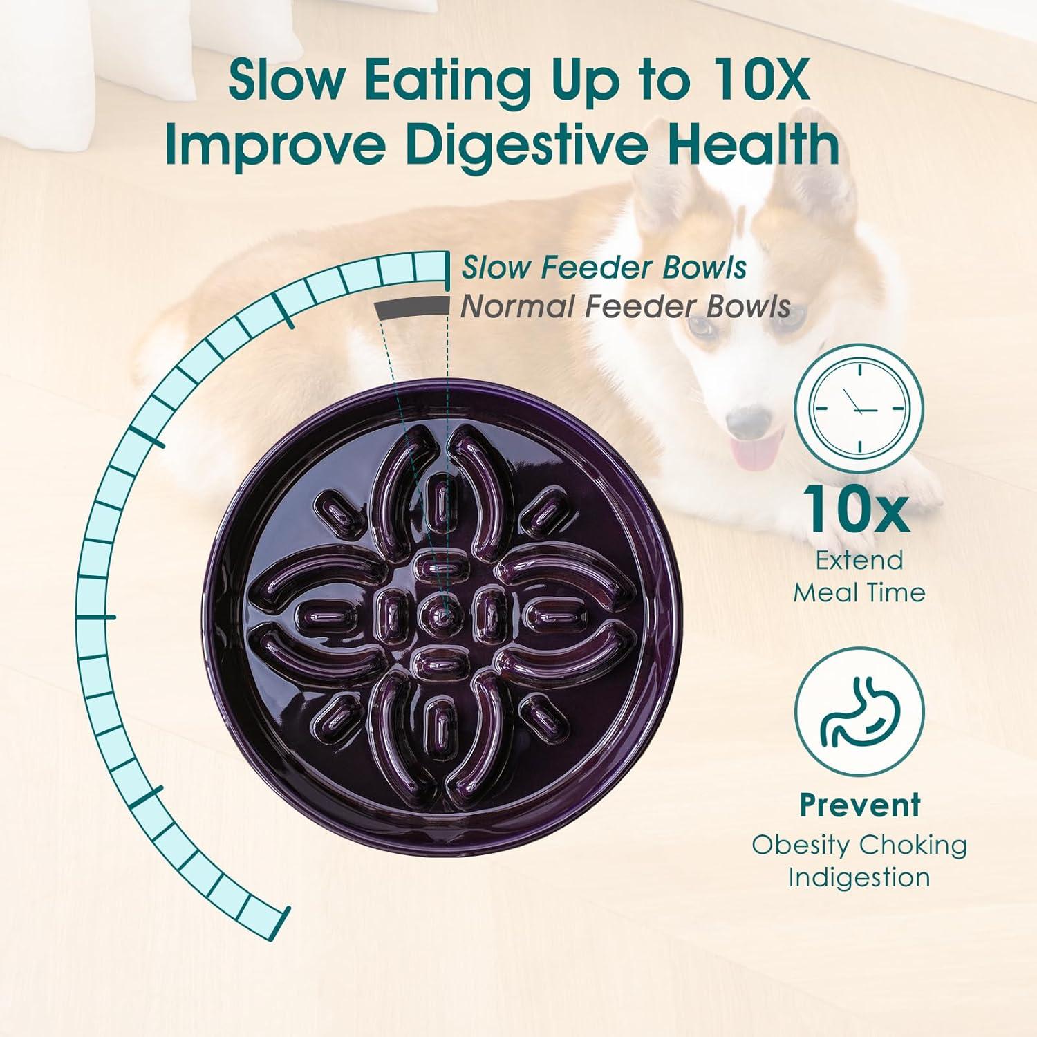 Cuenco de Cerámica Antideslizante para Perros Vancasso 1.5 Tazas