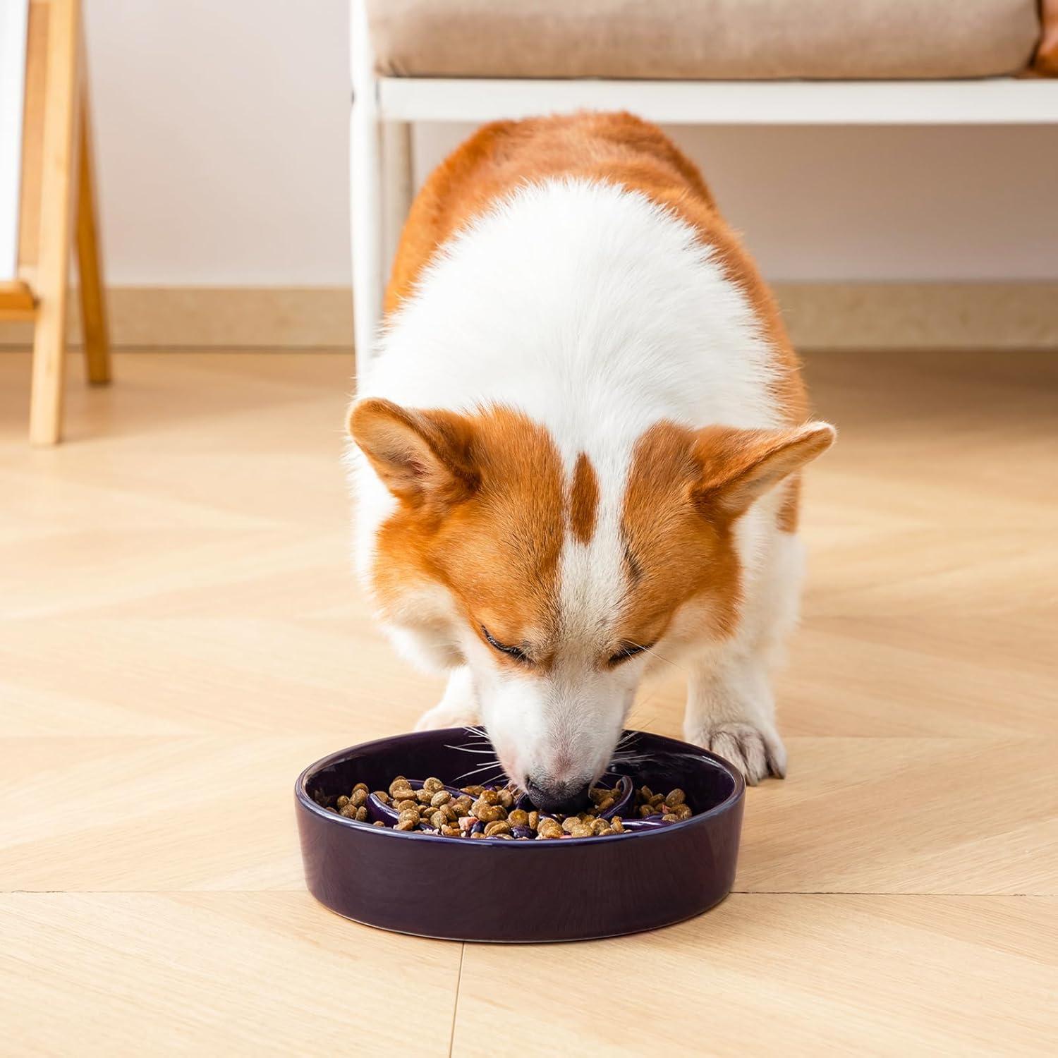 Cuenco de Cerámica Antideslizante para Perros Vancasso 1.5 Tazas