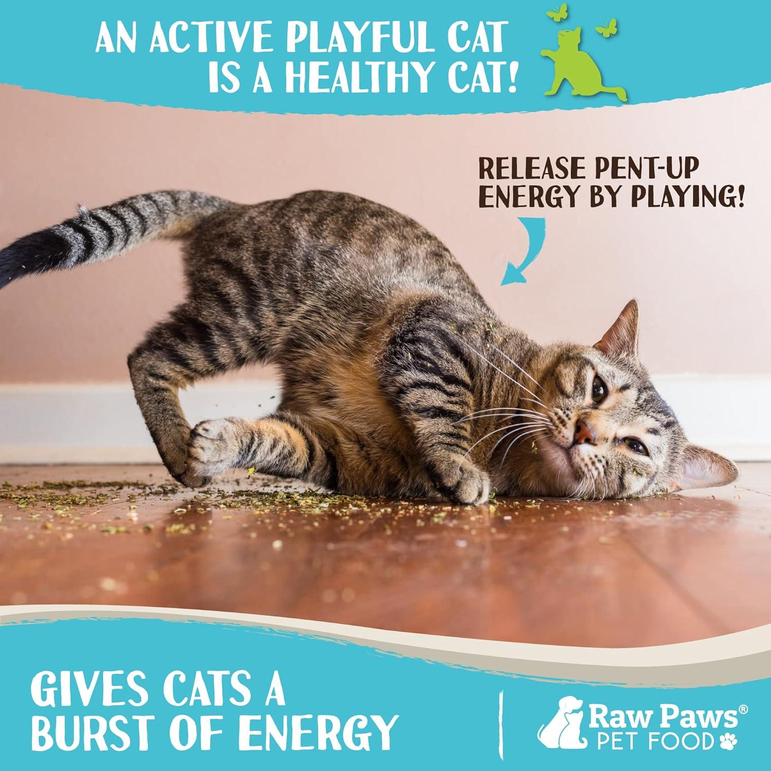 Hierba Gatera Fresca Raw Paws 28.35 g - Natural y Segura