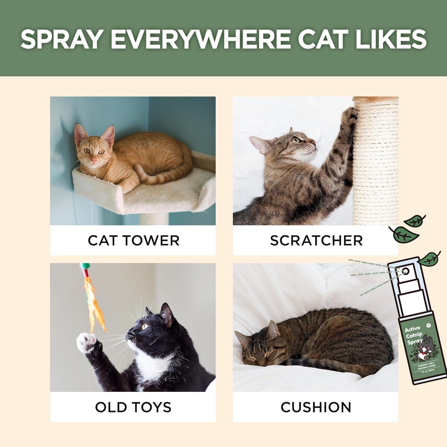 Spray de Catnip Orgánico JAYU PET 29.57 ml - Alivia Estrés Gatos