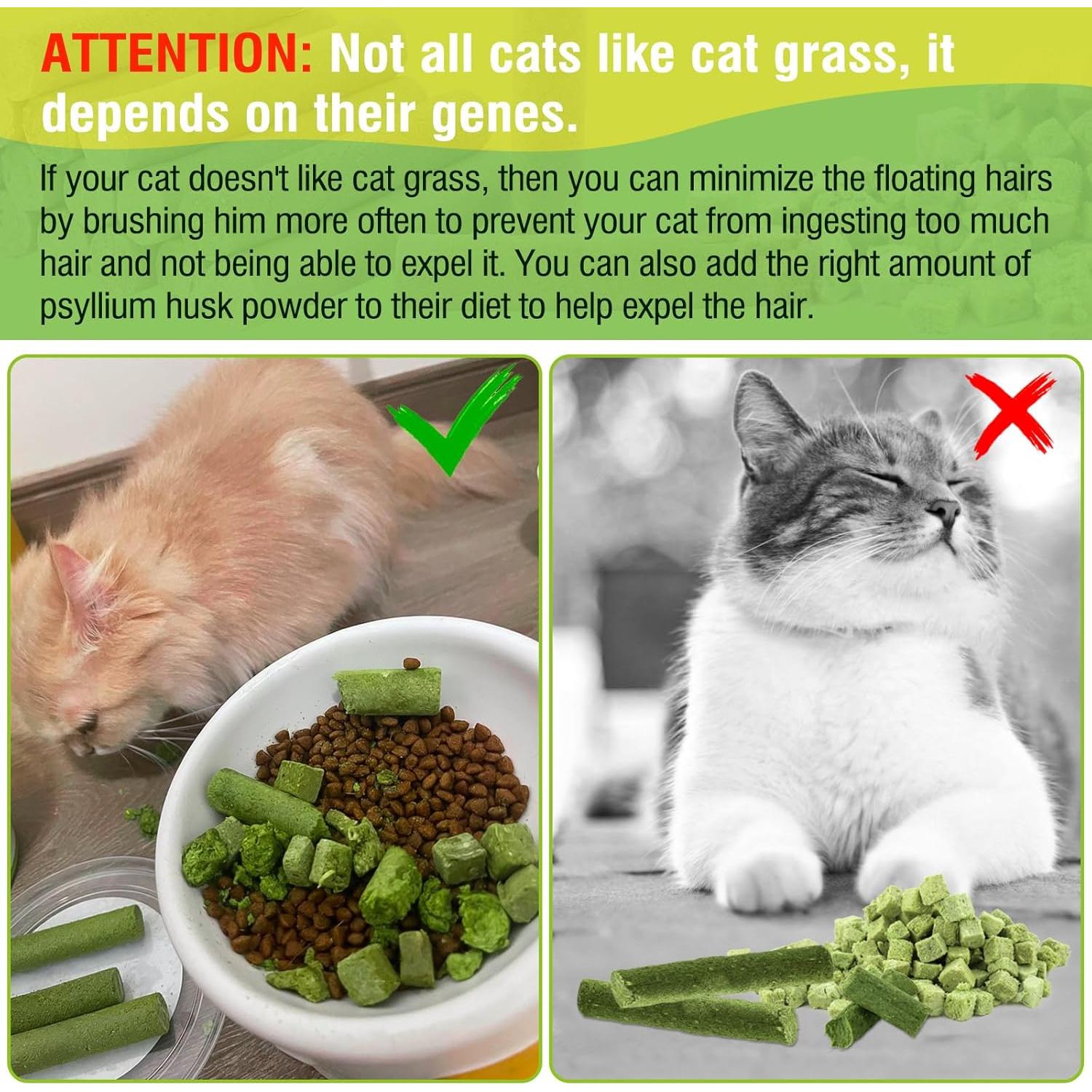 Palitos de Hierba para Gatos Hkpetie 30g - Snack Natural Saludable