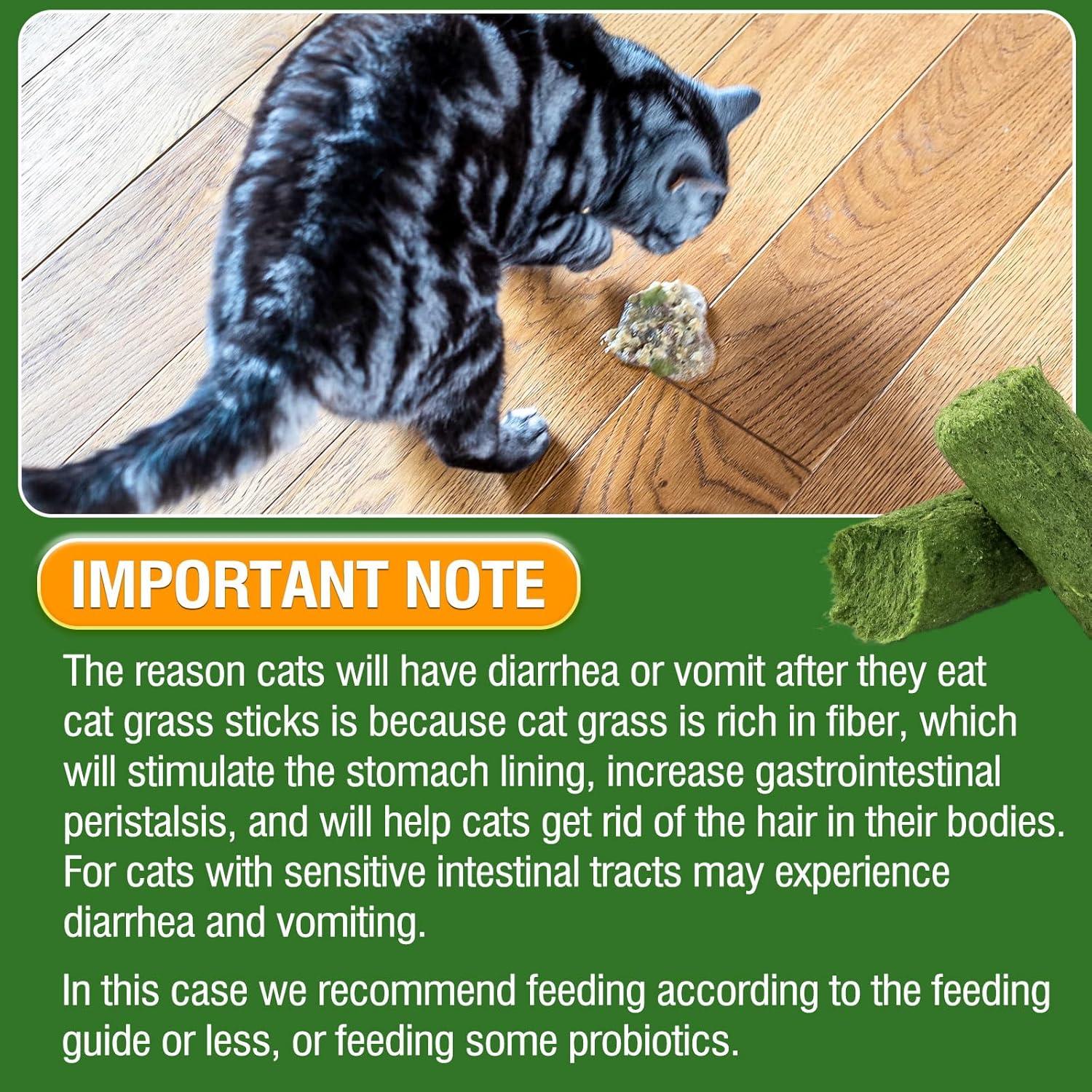 Palitos de Hierba para Gatos Hkpetie 30g - Snack Natural Saludable