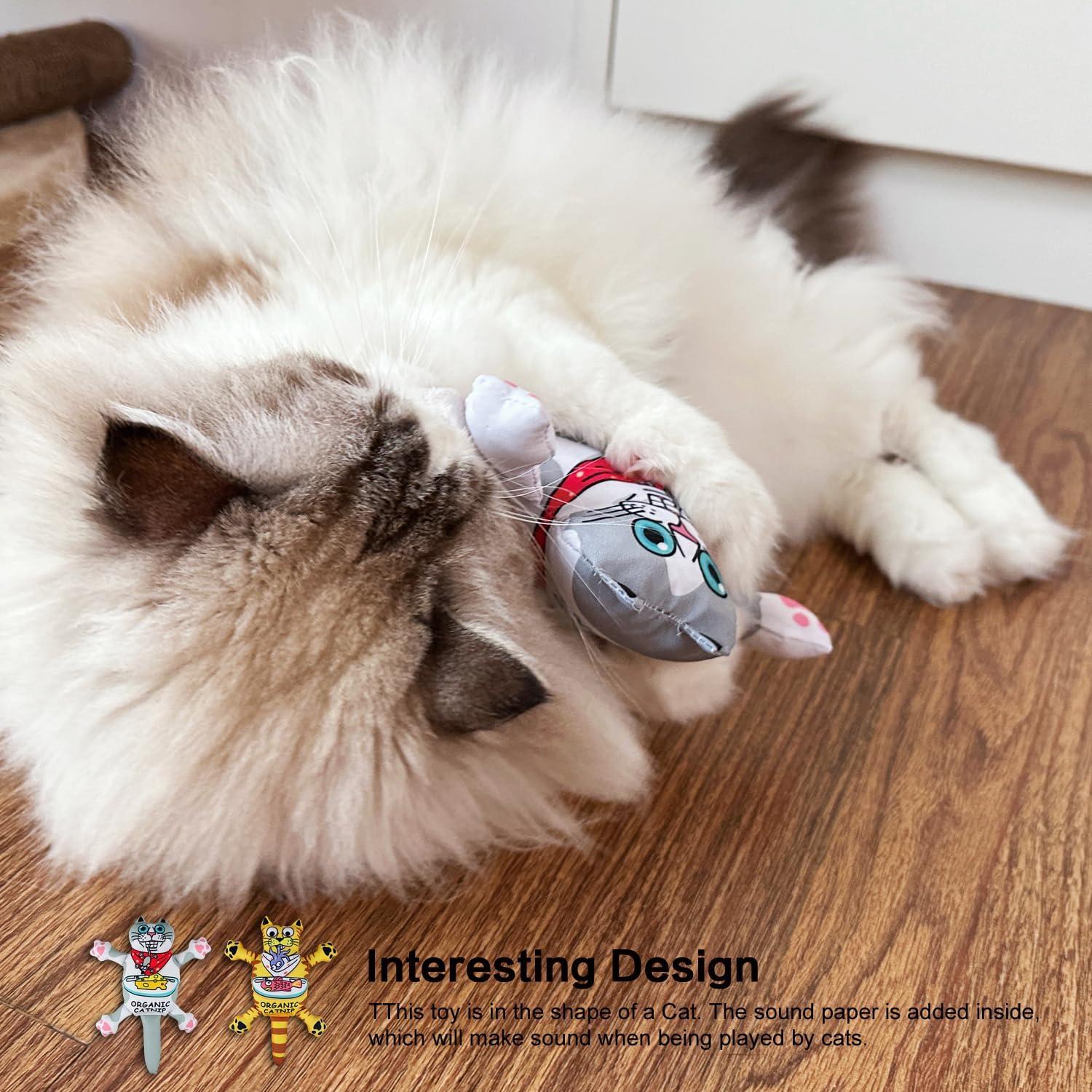 TTcat Almohada de Catnip Orgánico para Gatos 27x9.8cm Blanco