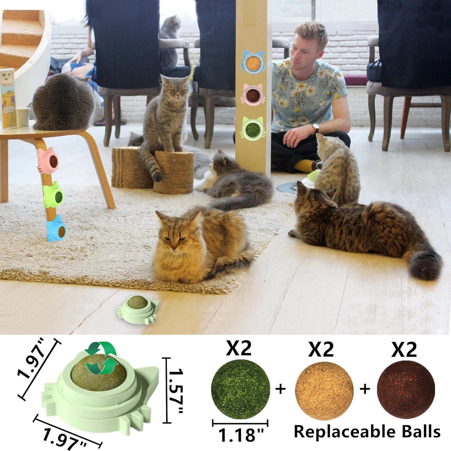 9PCS Juguetes para Gato GREMBEB con Hierba Gatera y Silvervine