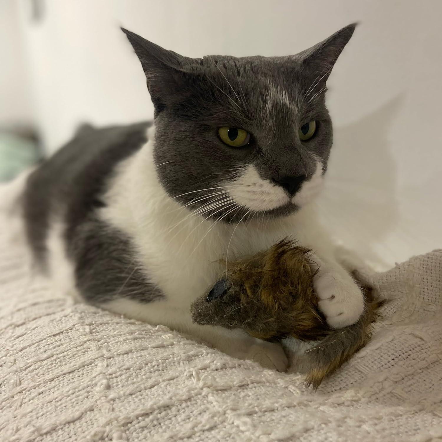 Ratón Gigante de Peluche SPOT Shaggy para Gatos - 21.6 cm