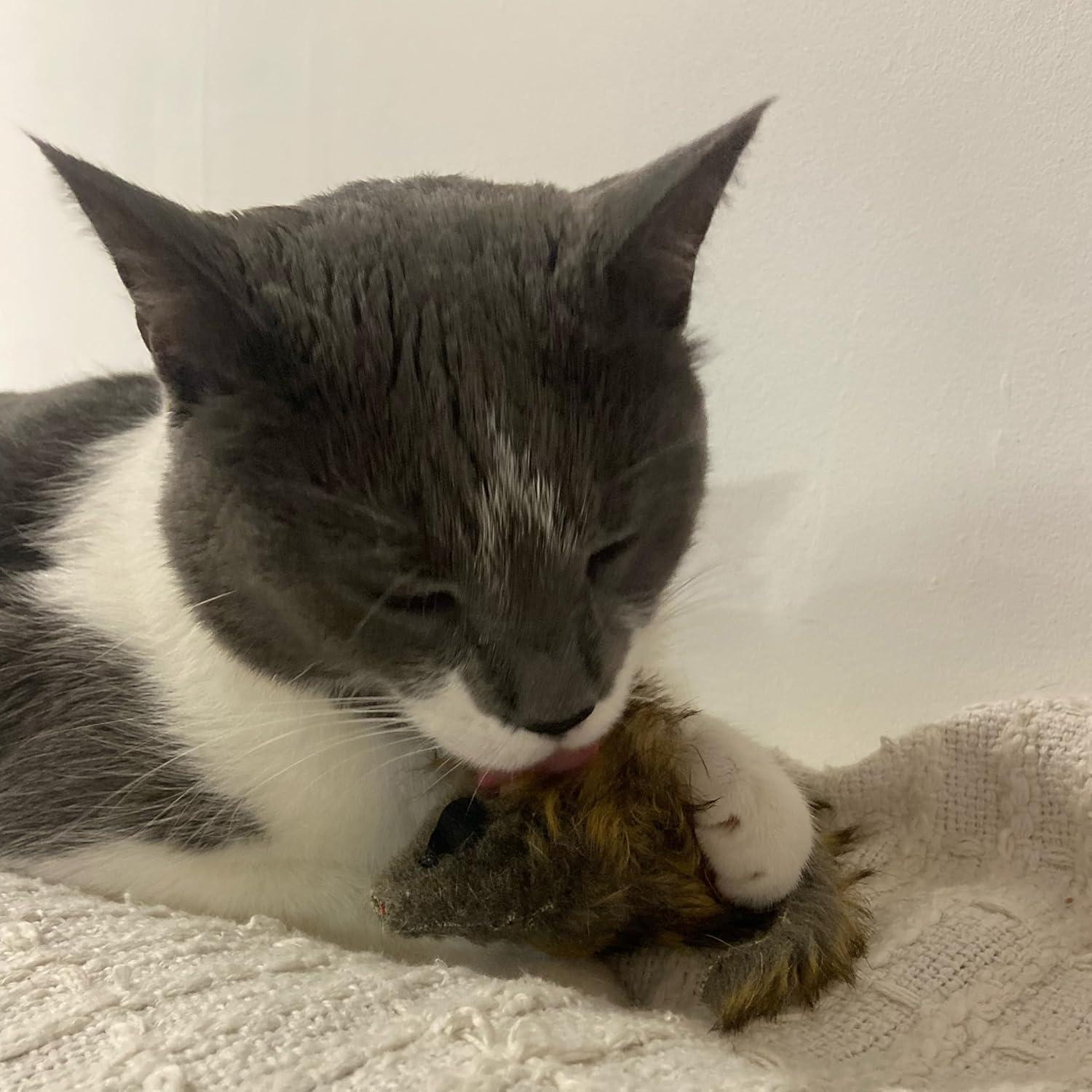 Ratón Gigante de Peluche SPOT Shaggy para Gatos - 21.6 cm