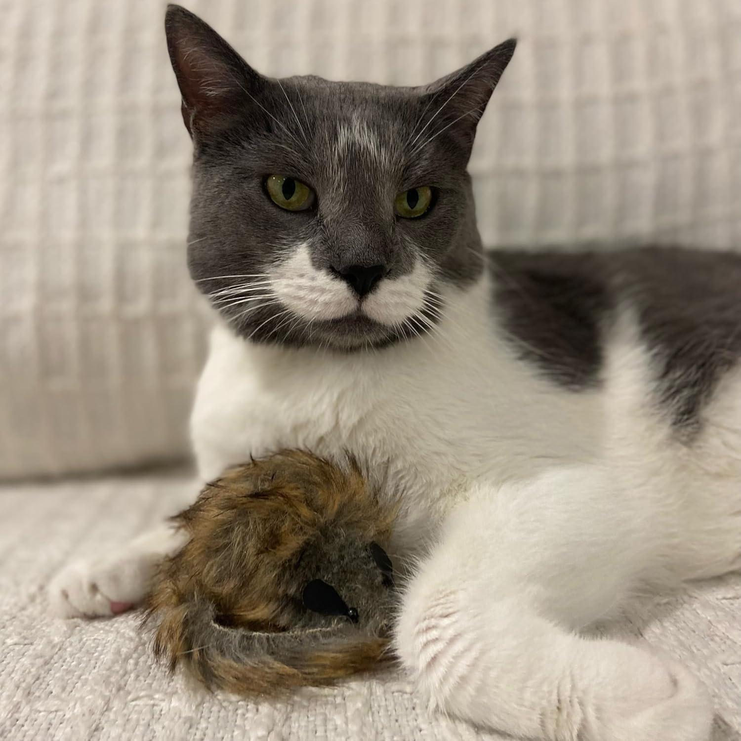 Ratón Gigante de Peluche SPOT Shaggy para Gatos - 21.6 cm
