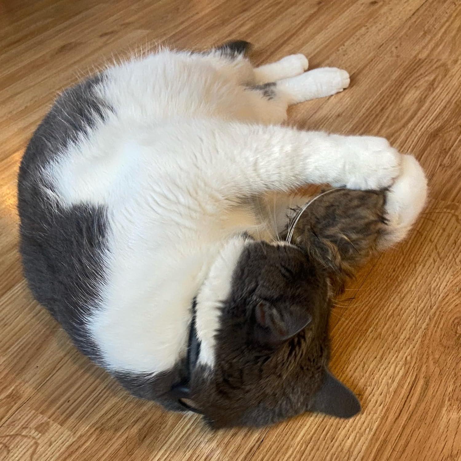 Ratón Gigante de Peluche SPOT Shaggy para Gatos - 21.6 cm