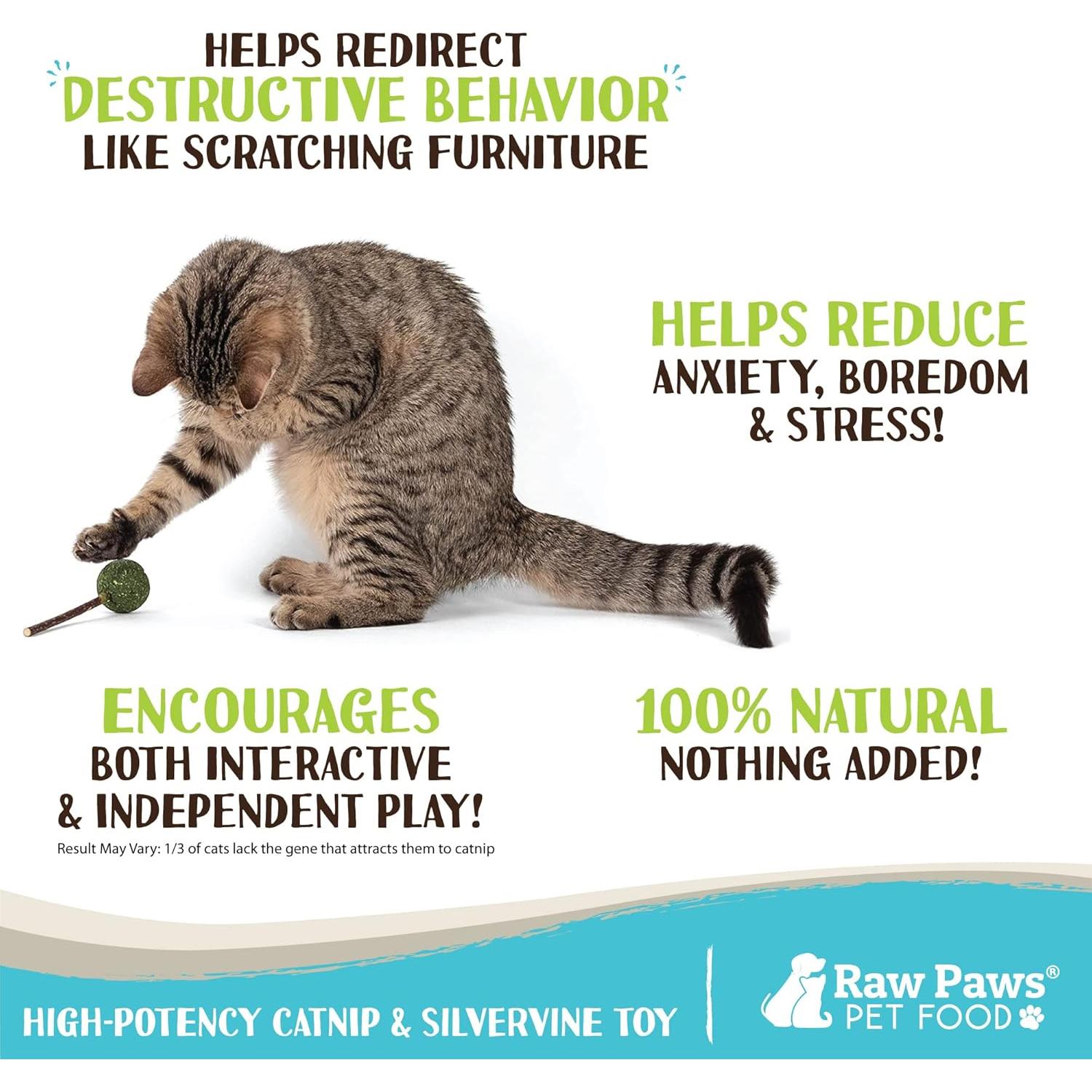 Chupetines de Catnip y Silvervine Raw Paws - Paquete de 6