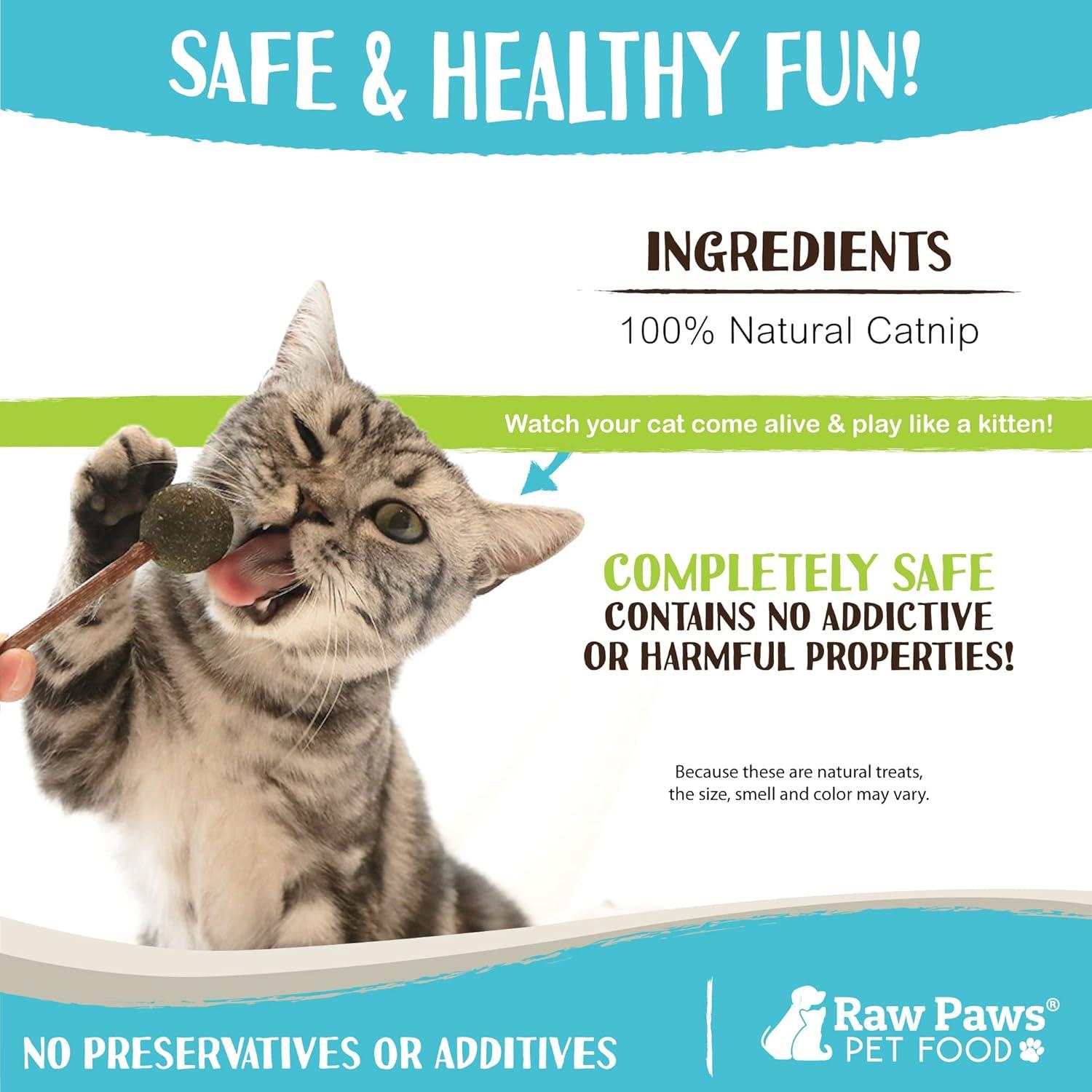 Chupetines de Catnip y Silvervine Raw Paws - Paquete de 6