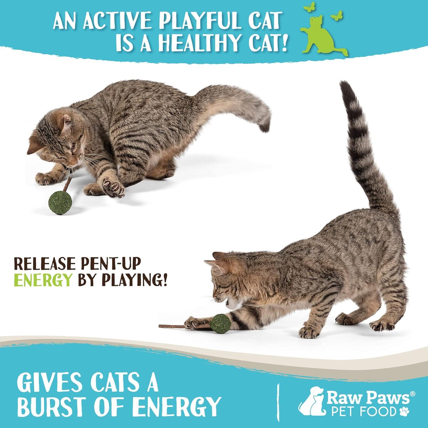 Chupetines de Catnip y Silvervine Raw Paws - Paquete de 6