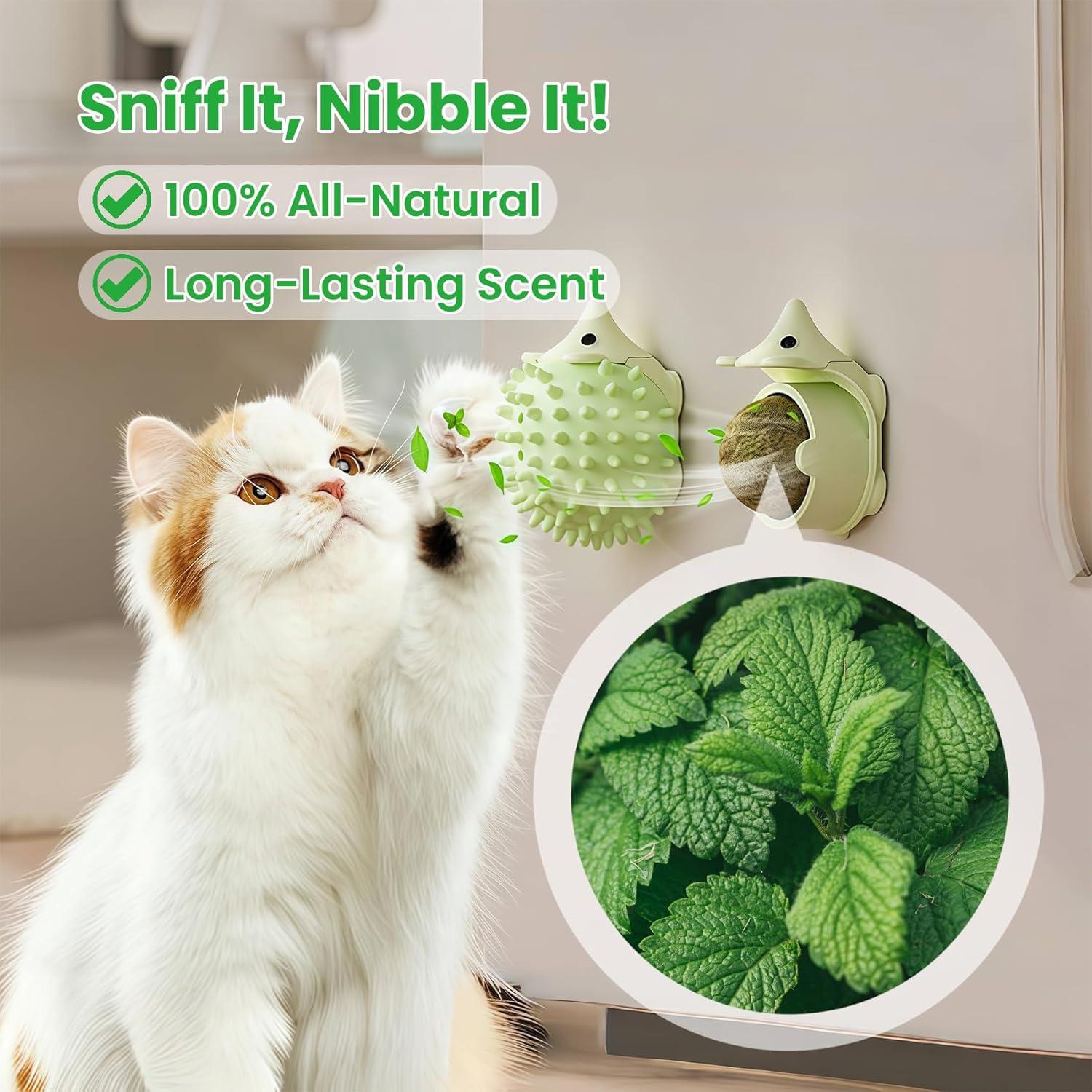 Juguetes de Hierba Gatera Petinstinct 3 Conchas 6 Bolas