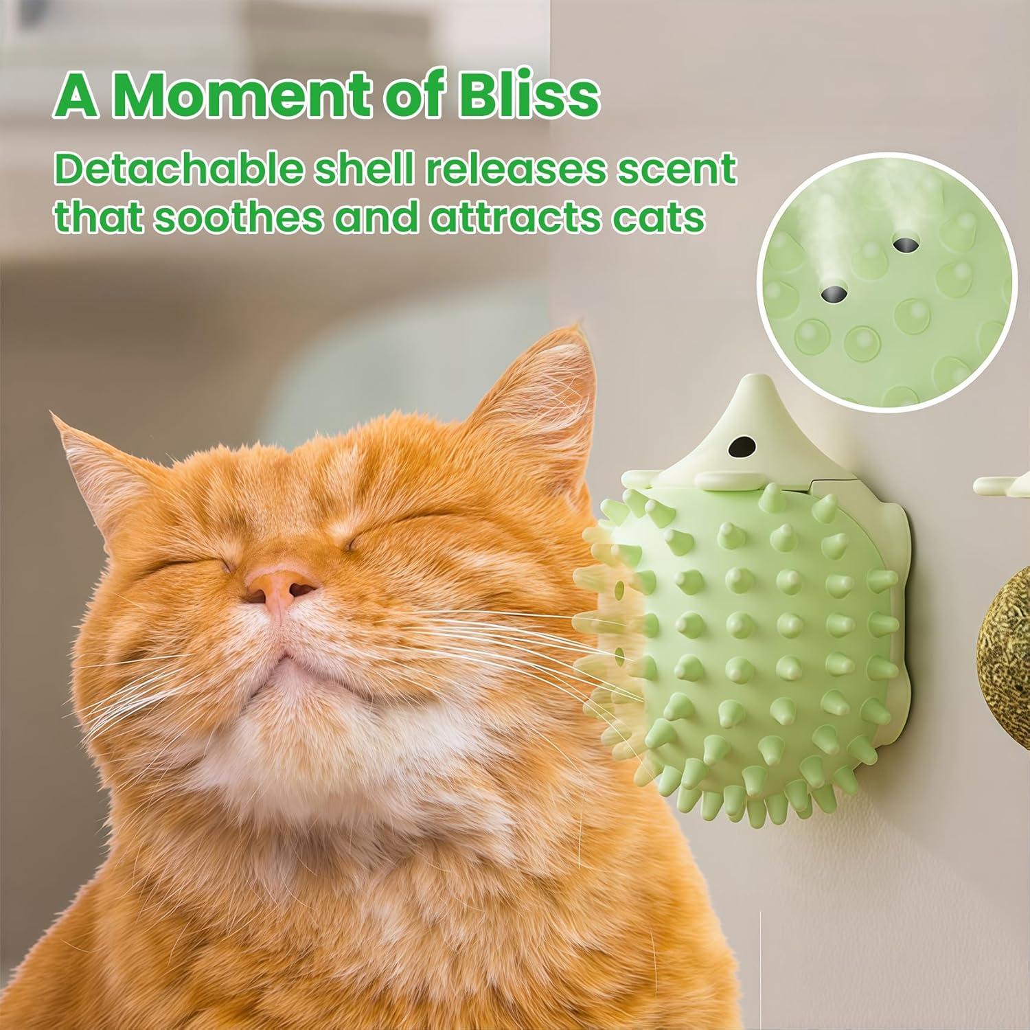 Juguetes de Hierba Gatera Petinstinct 3 Conchas 6 Bolas