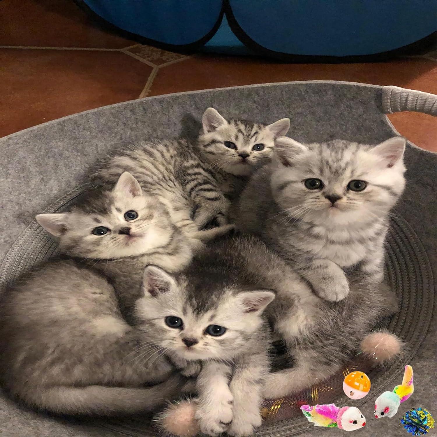 Juguetes para Gatos KITCHSTAR 46 Piezas Diversión Interior