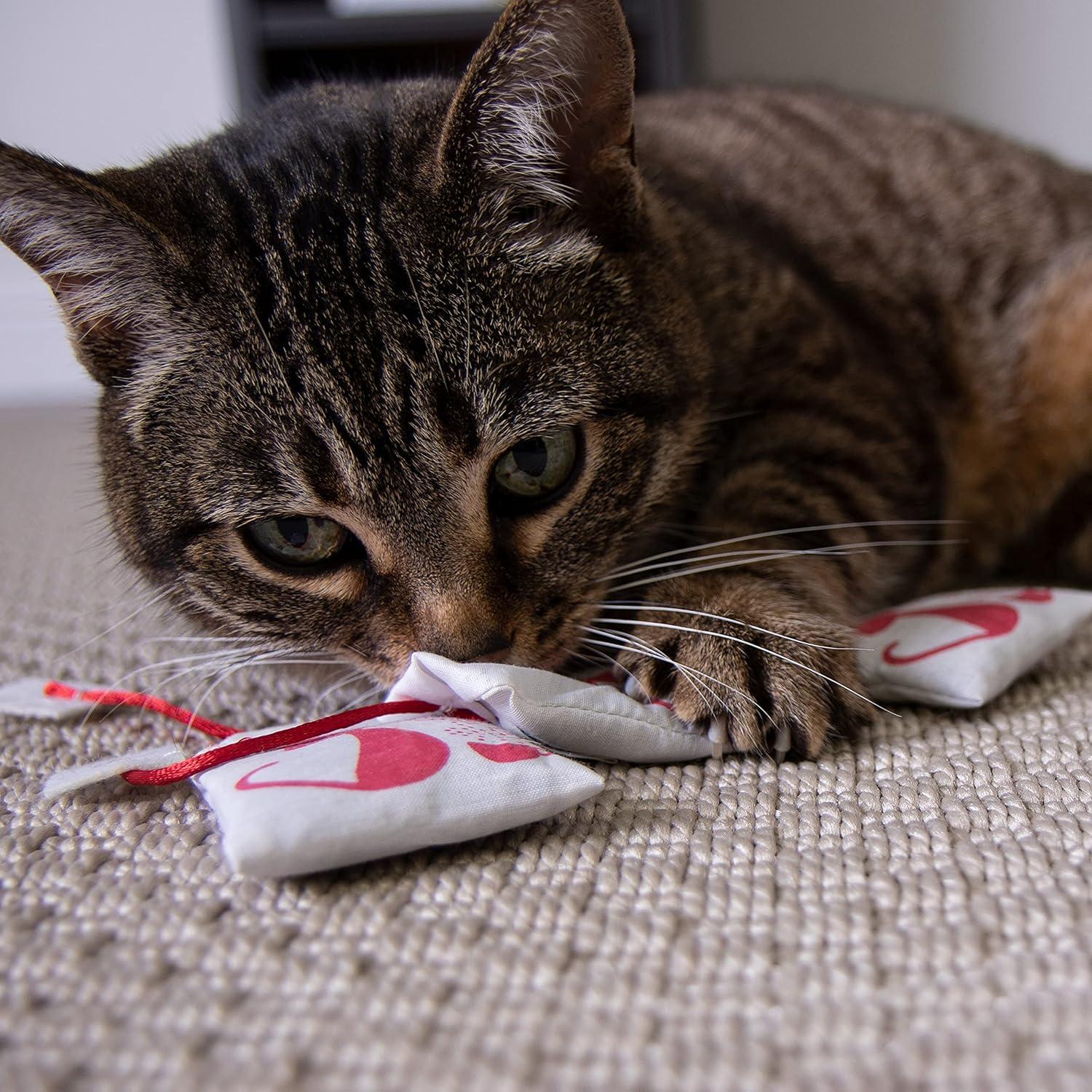 Juguetes para Gato Petlinks Tea Zing - Set de 3 con Hierba Gatera