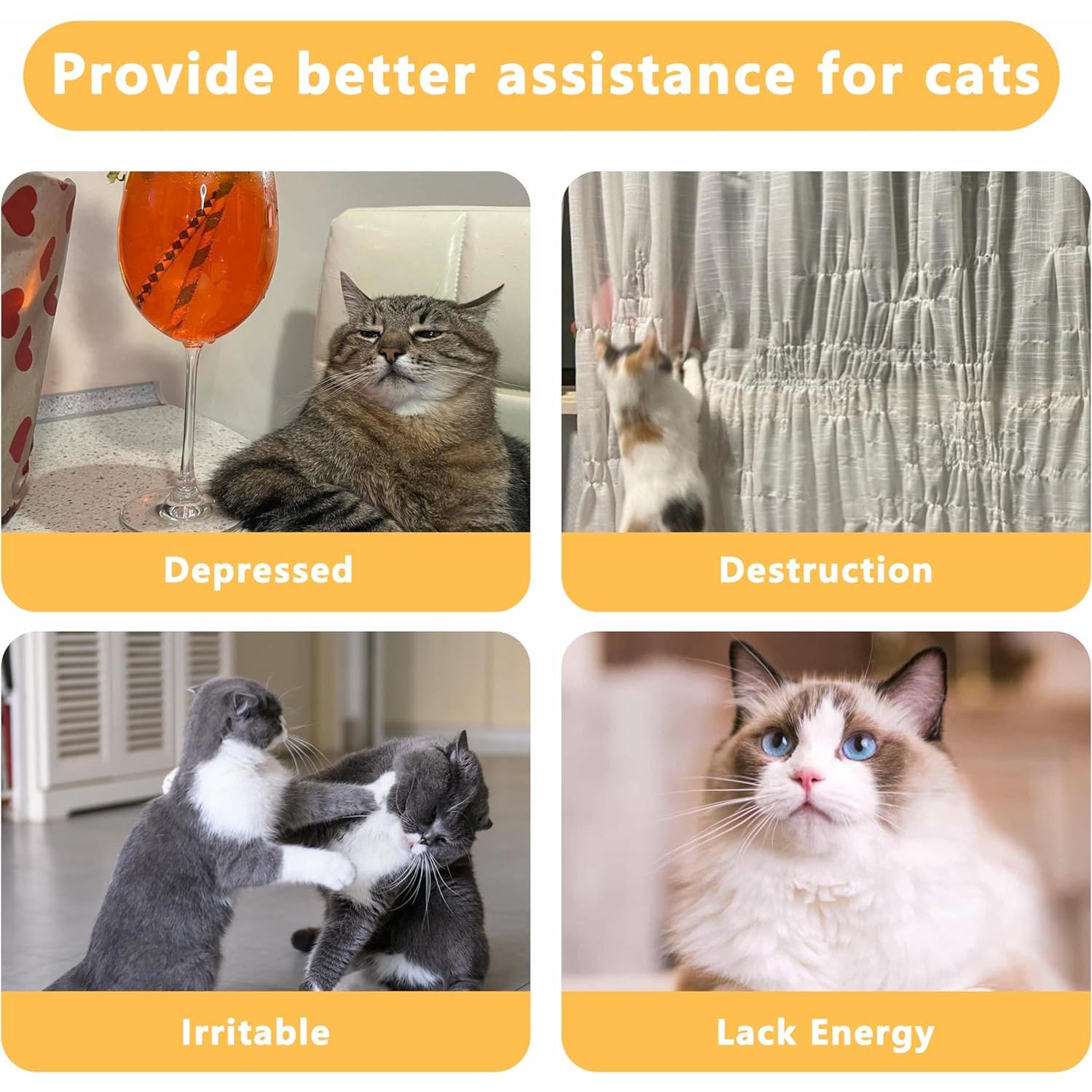 5 Juguetes para Gato Maiiu con Hierba Gatera - Diversión Segura