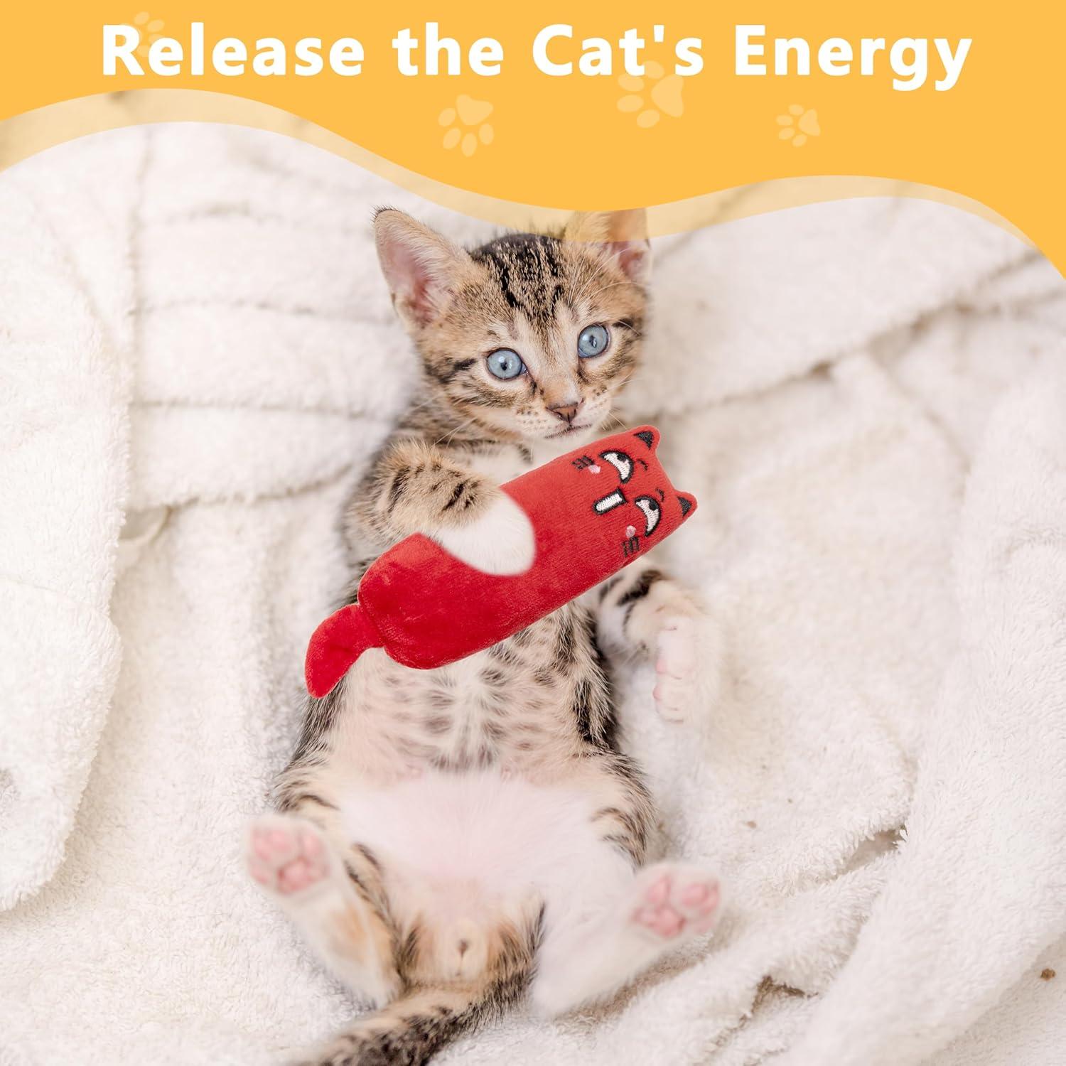 5 Juguetes para Gato Maiiu con Hierba Gatera - Diversión Segura