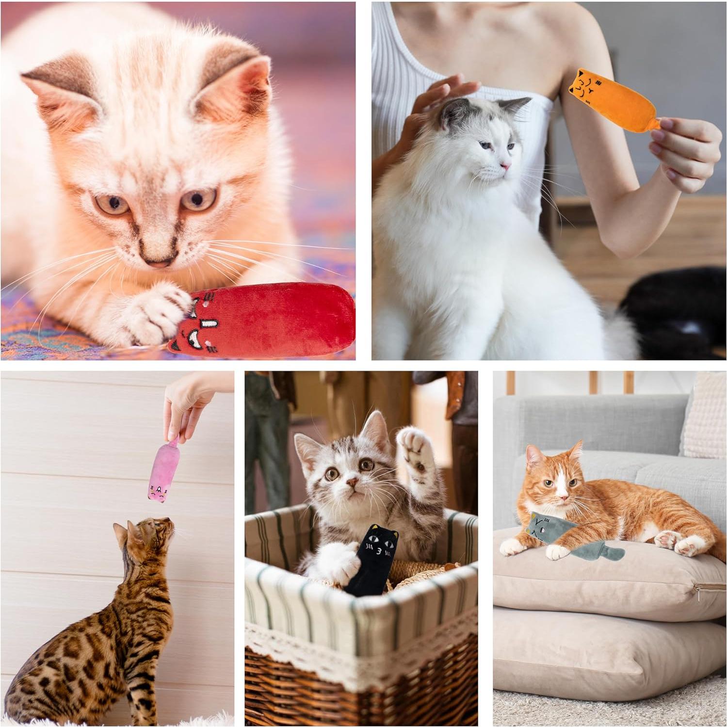 5 Juguetes para Gato Maiiu con Hierba Gatera - Diversión Segura