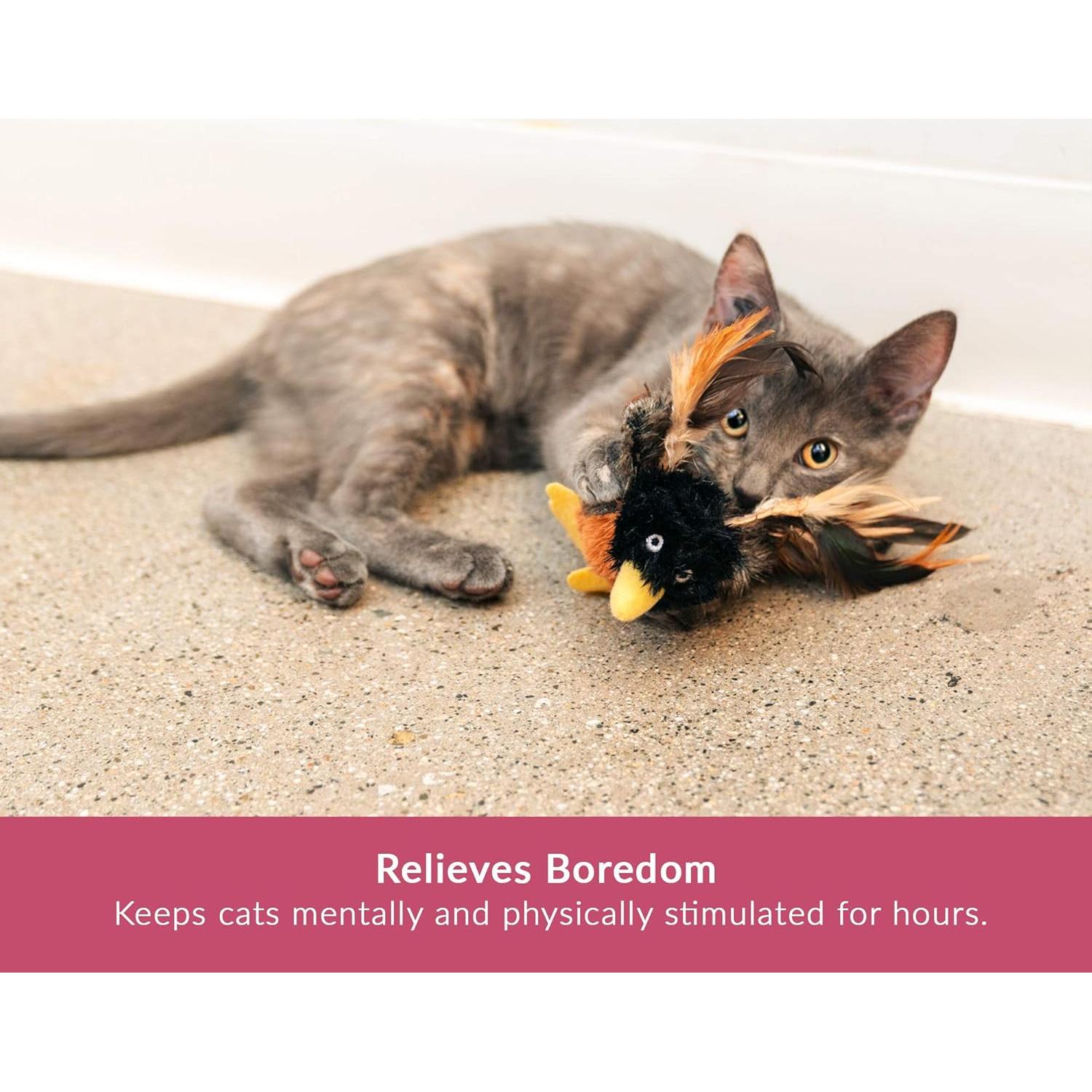 Juguetes Interactivos para Gatos Craft Kitty - Paquete de 2