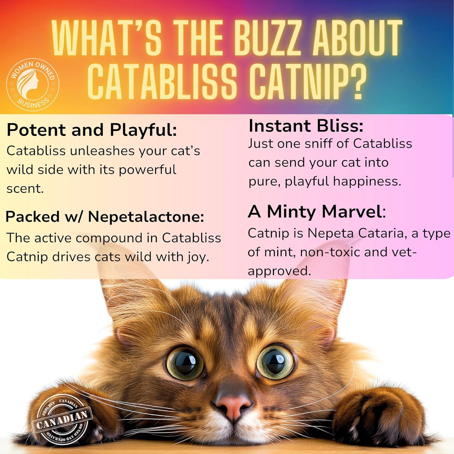 Hierba Gatera Catabliss 28.35g - 100% Natural para Gatos