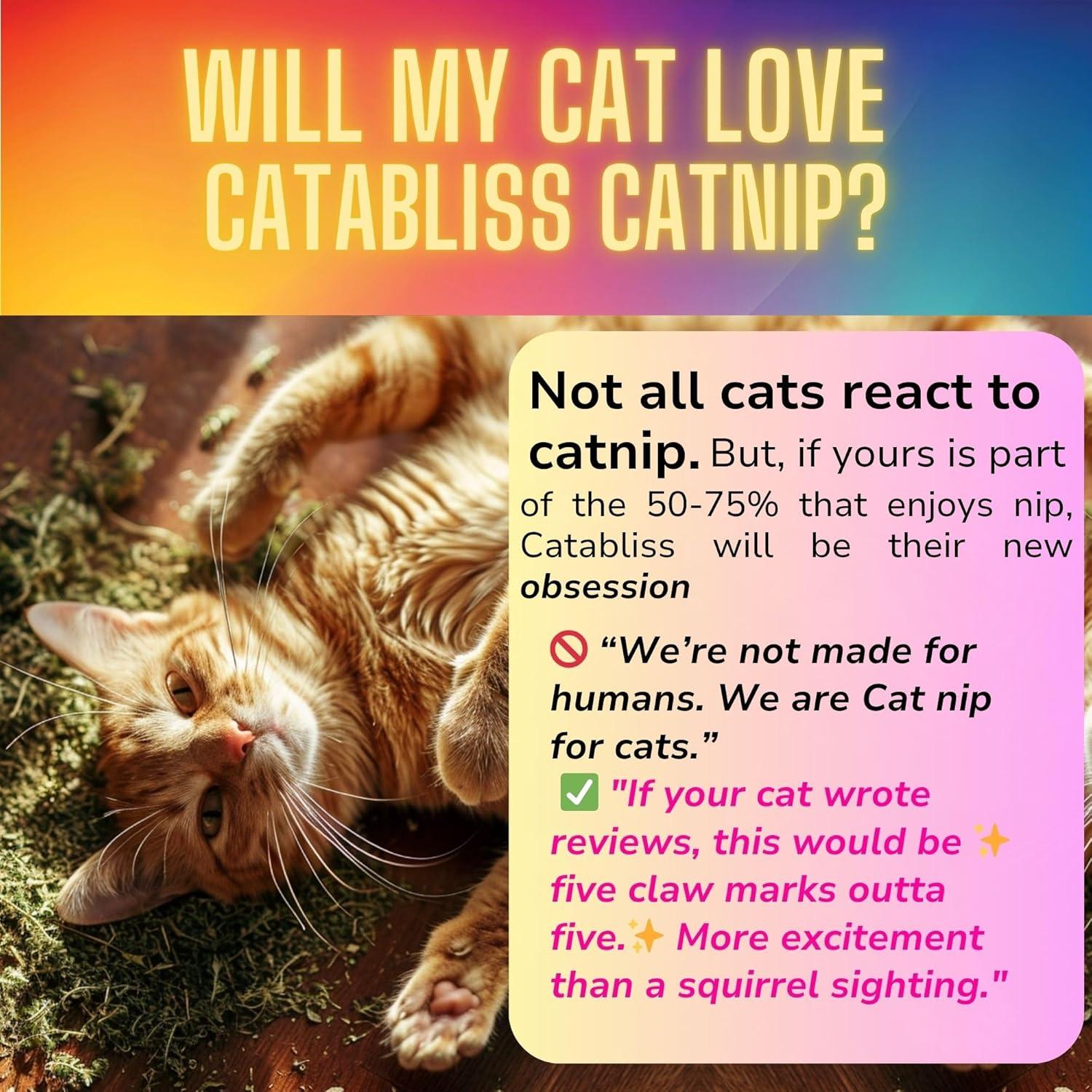 Hierba Gatera Catabliss 28.35g - 100% Natural para Gatos