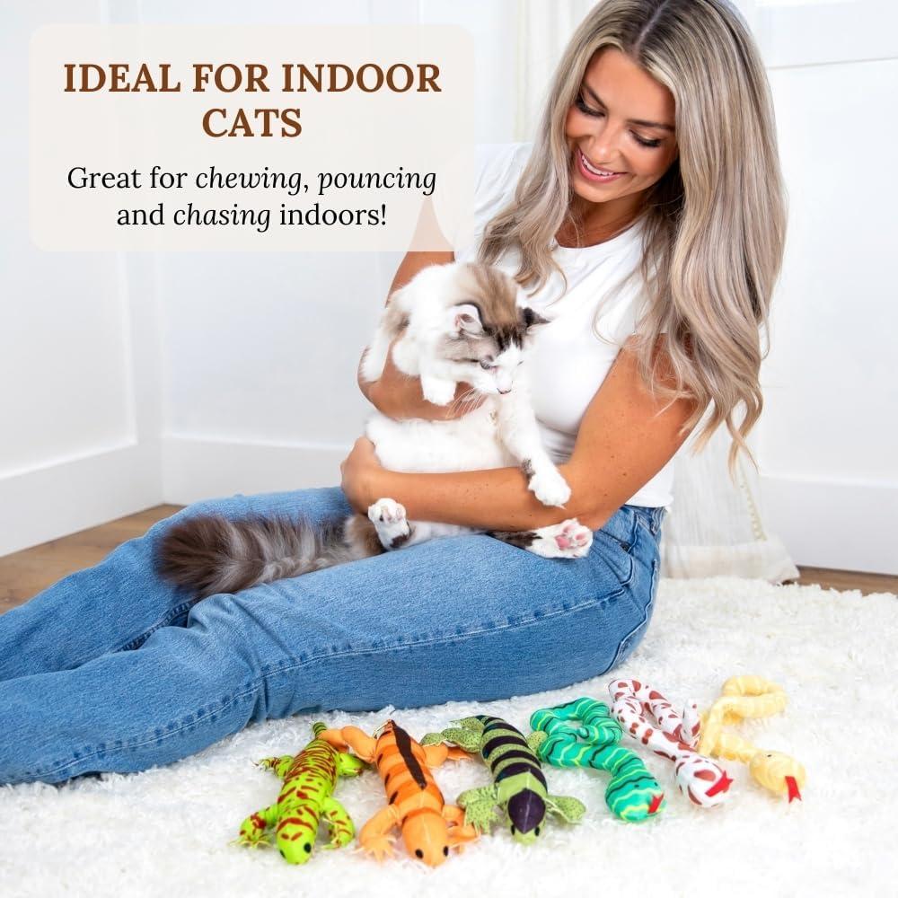 Juguetes Interactivos para Gatos GADGETSOLOGY - Set de 6