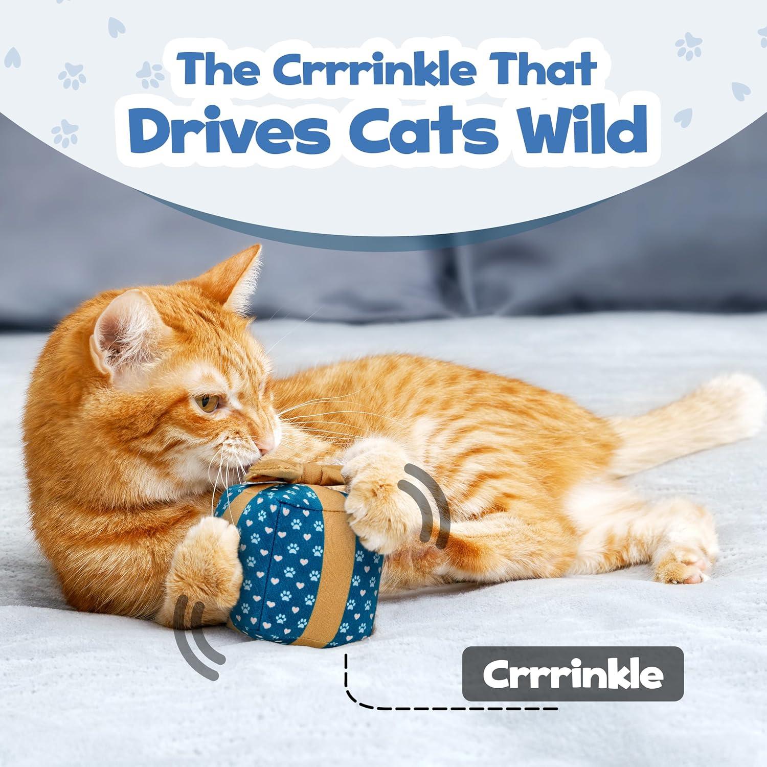 Caja de Regalo Juguete para Gato Aspire Designs 8.89 cm