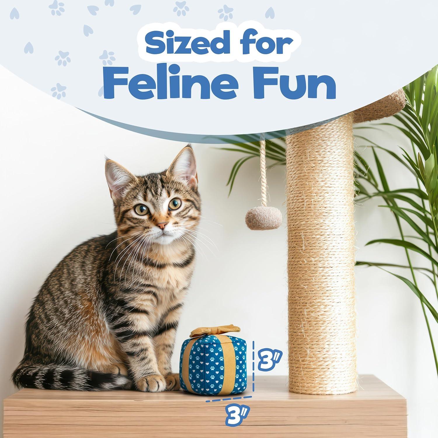 Caja de Regalo Juguete para Gato Aspire Designs 8.89 cm