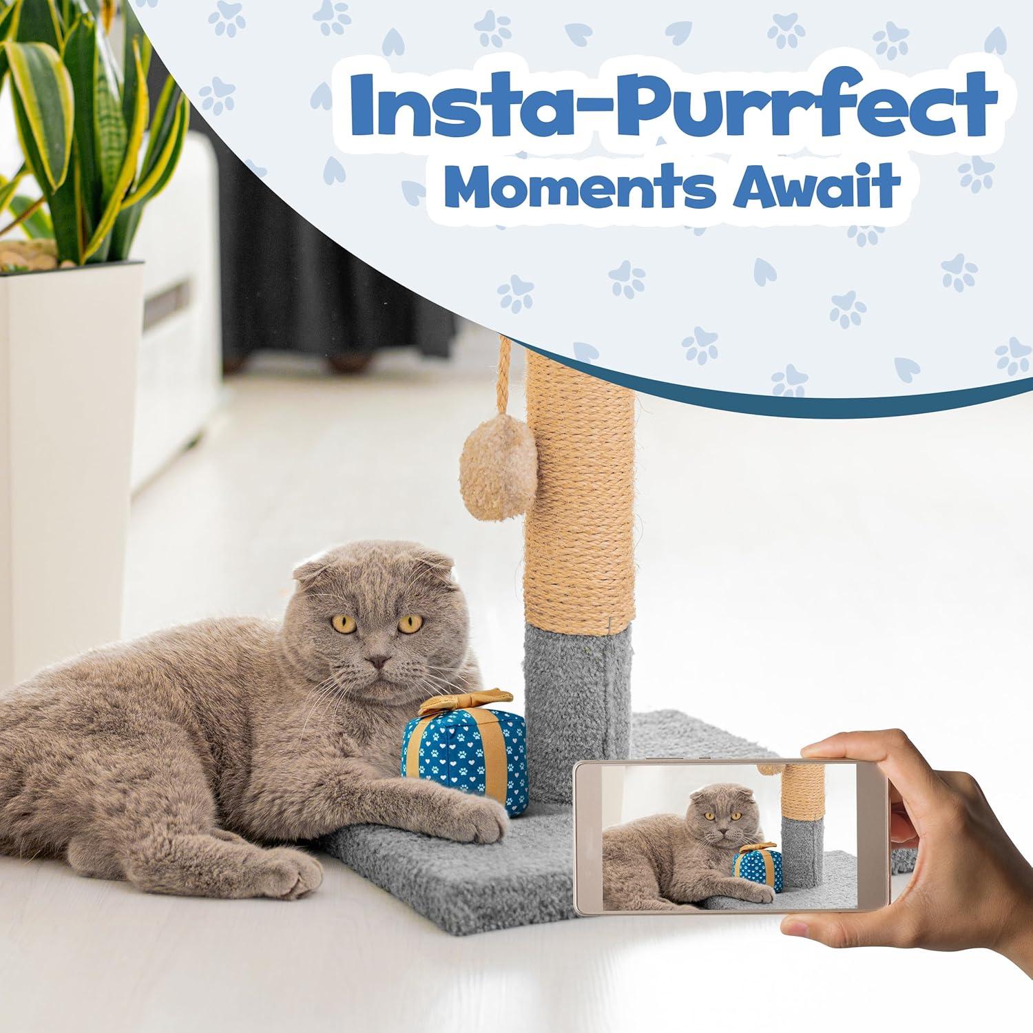 Caja de Regalo Juguete para Gato Aspire Designs 8.89 cm