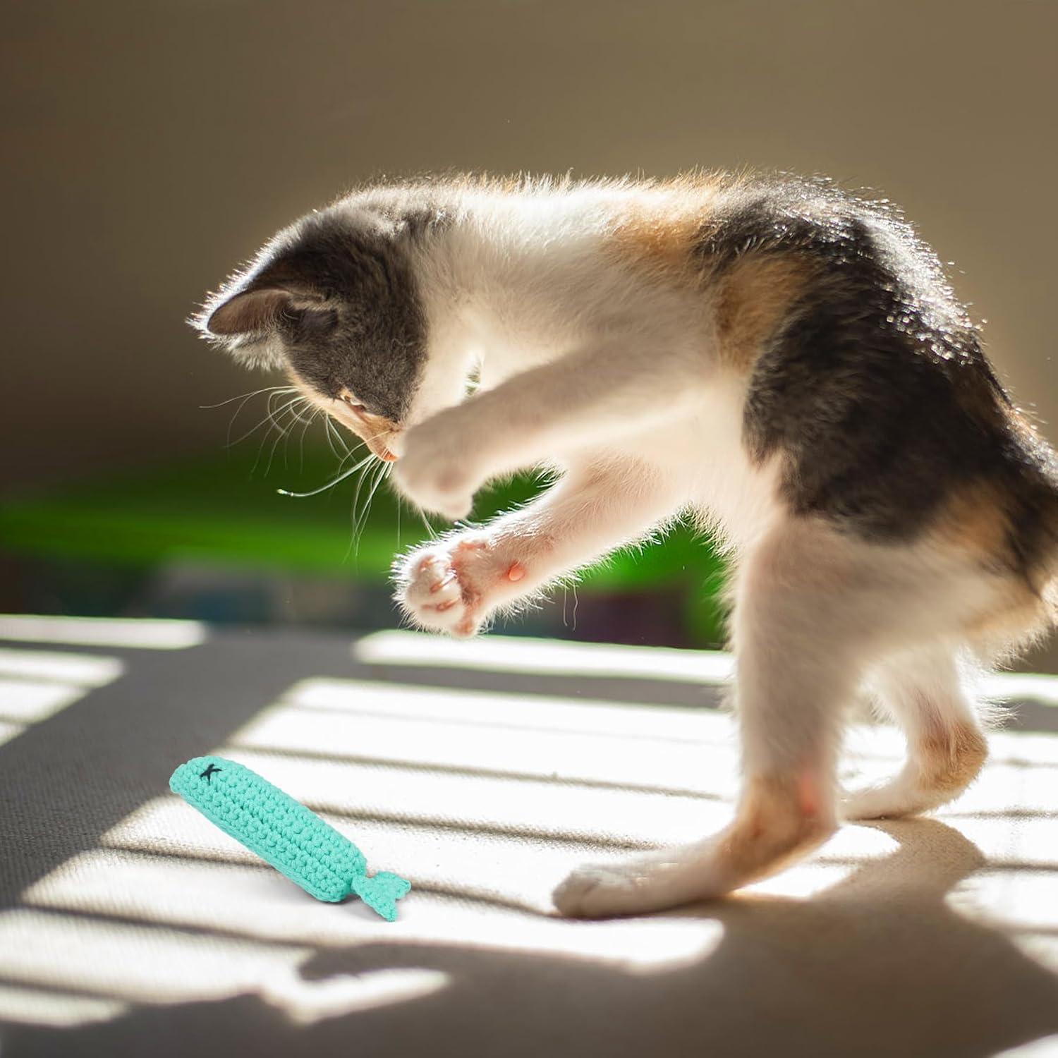 Juguete de Gato de Ganchillo con Hierba Gatera en Lata