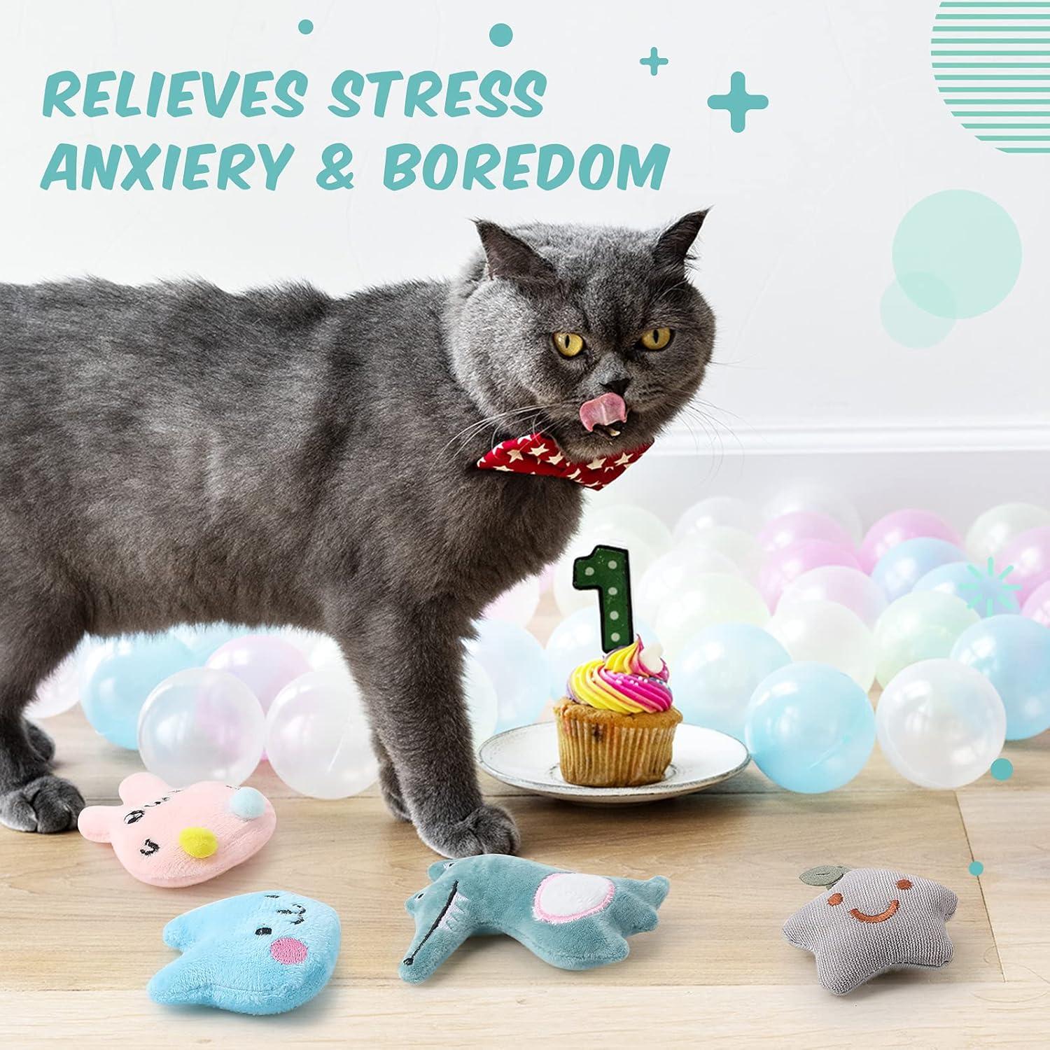 Juguetes de Hierba Gatera Gejoy 20 Piezas para Gatos Interiores