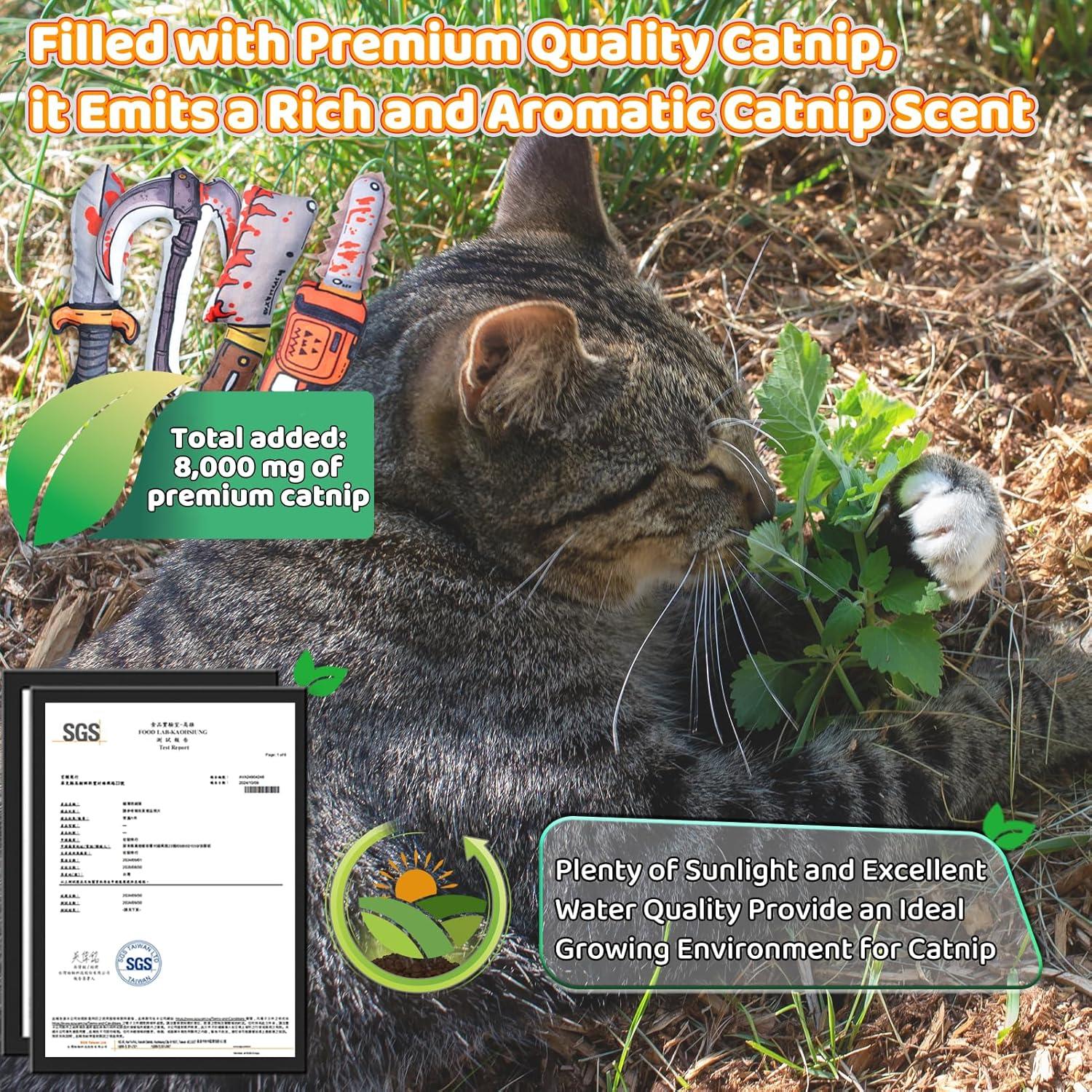 Juguetes para Gatos XIFOWE 4 PCS con Catnip y Sonido