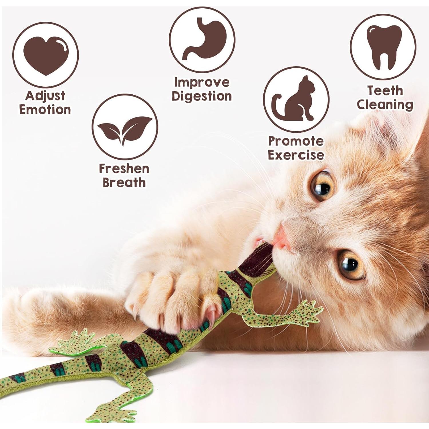 Juguetes de Gato CiyvoLyeen Set de 4 Lagartos Catnip 35.56 cm