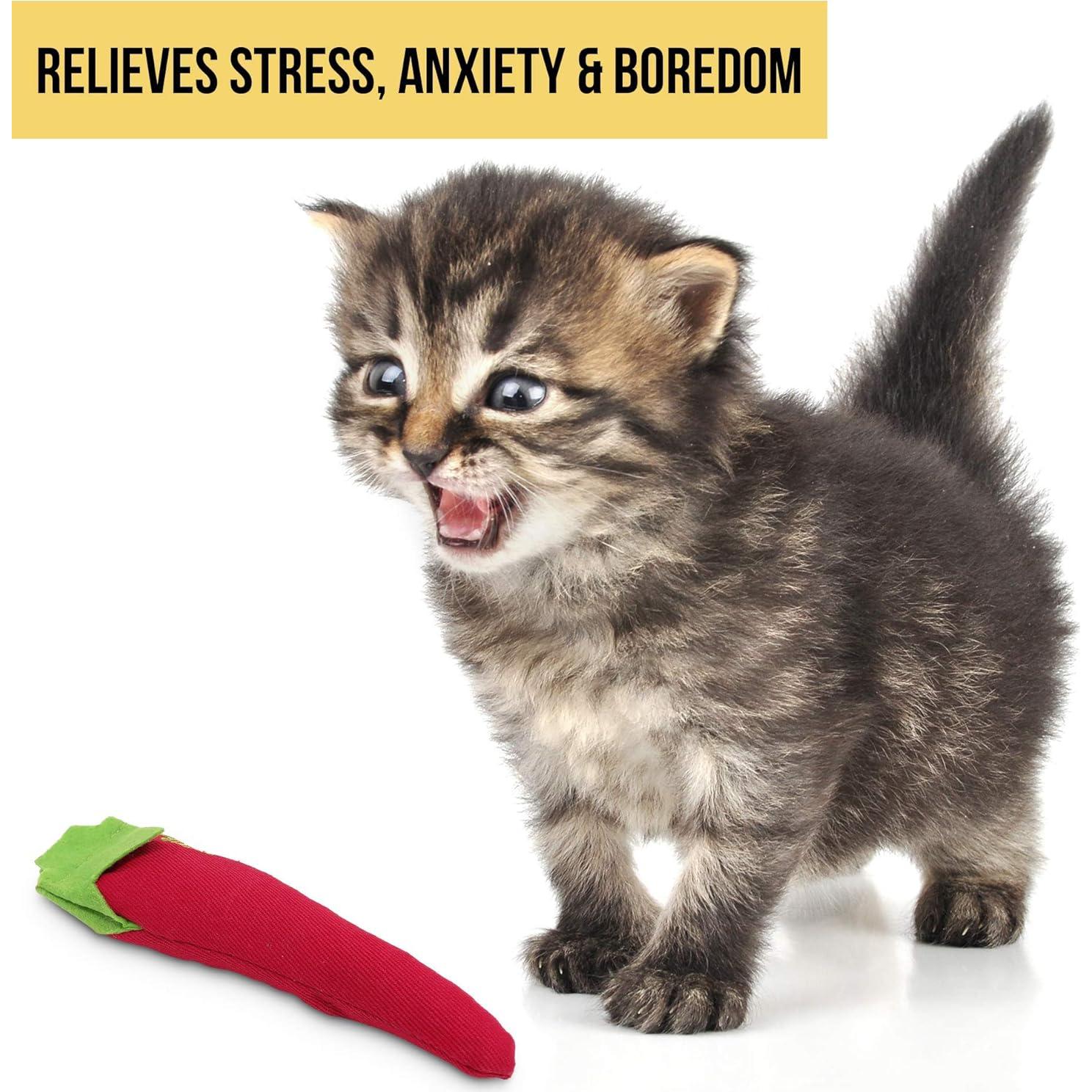 Juguete Interactivo para Gato OurPets Relleno de Hierba Gatera