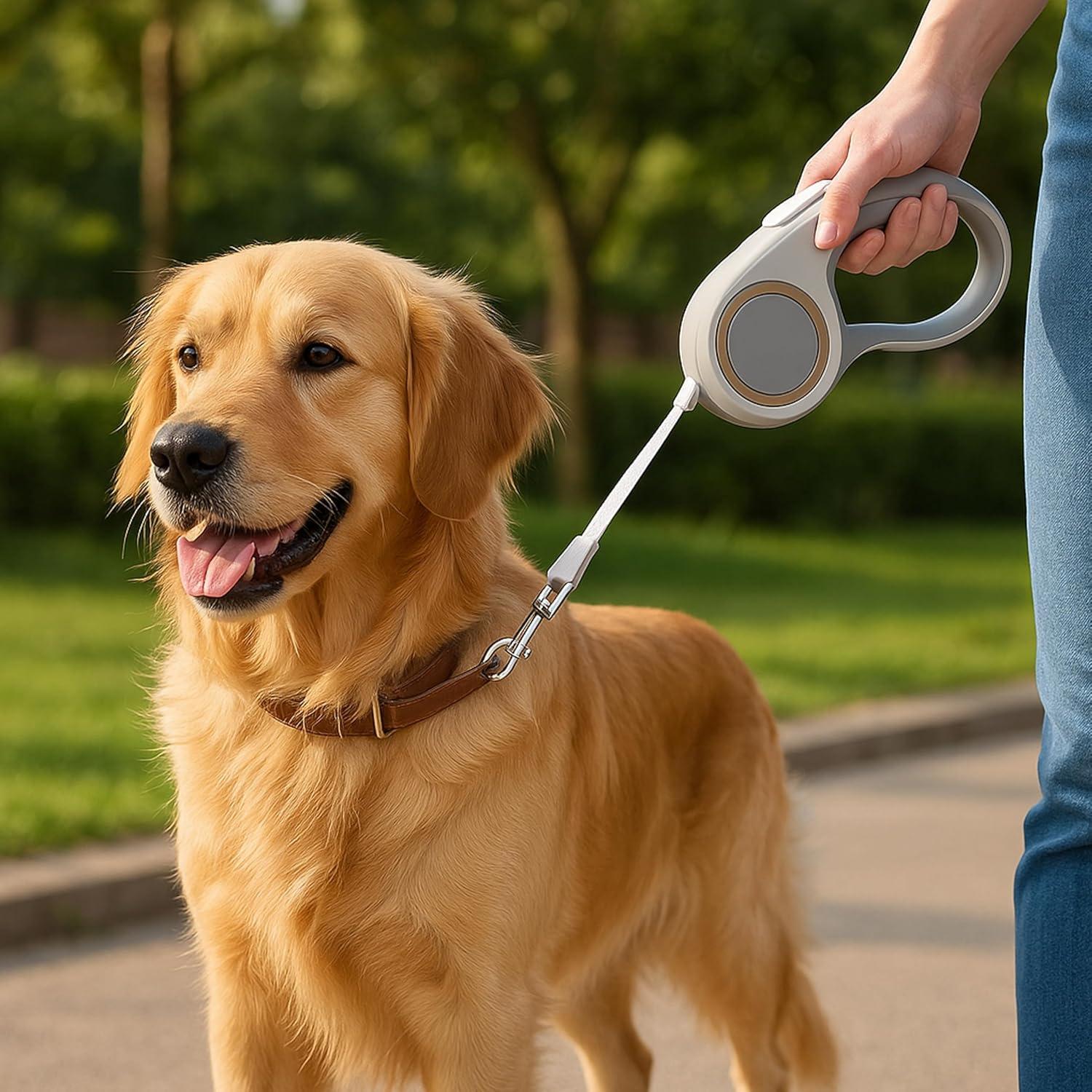 Correa Retráctil para Perros SAIGA CASA 2.44m Nylon Antideslizante