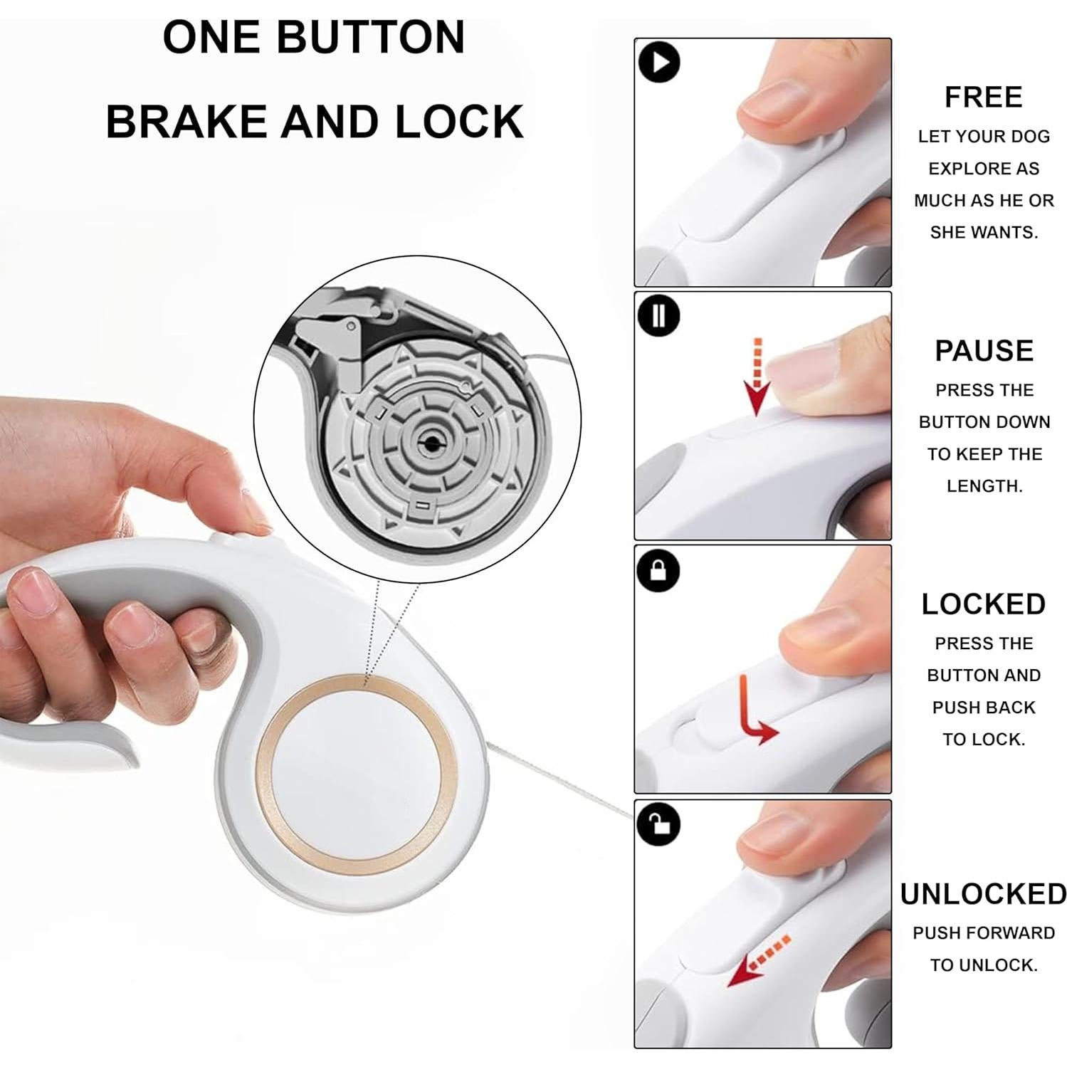 Correa Retráctil para Perros SAIGA CASA 2.44m Nylon Antideslizante