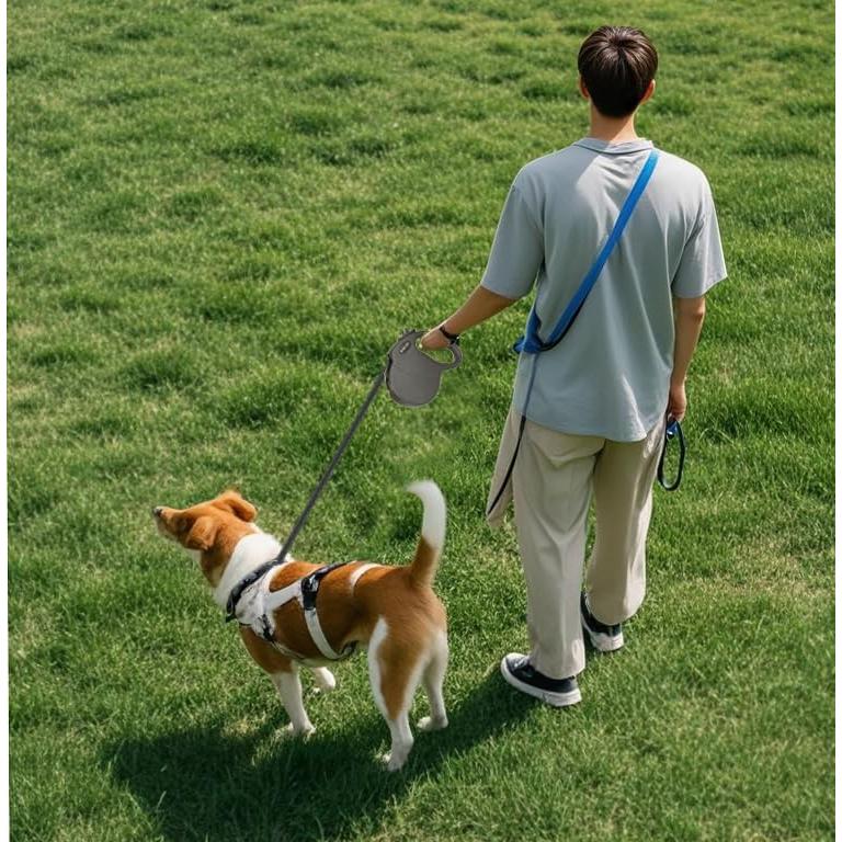 Correa de Perro Retráctil DATIENIU PAWS 5m Ajustable Negra