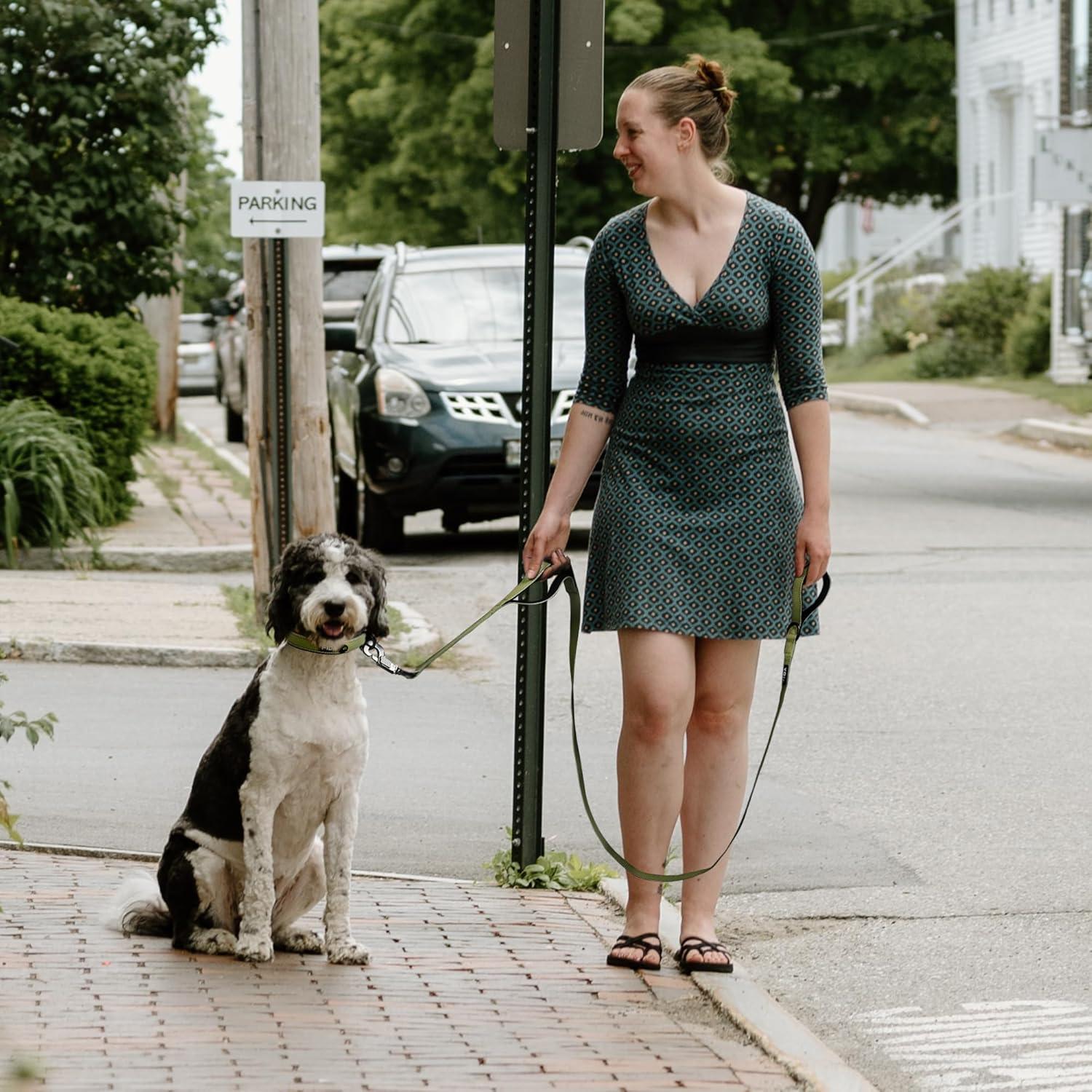 Correa para Perros Fida 1.22m Alta Resistencia Verde