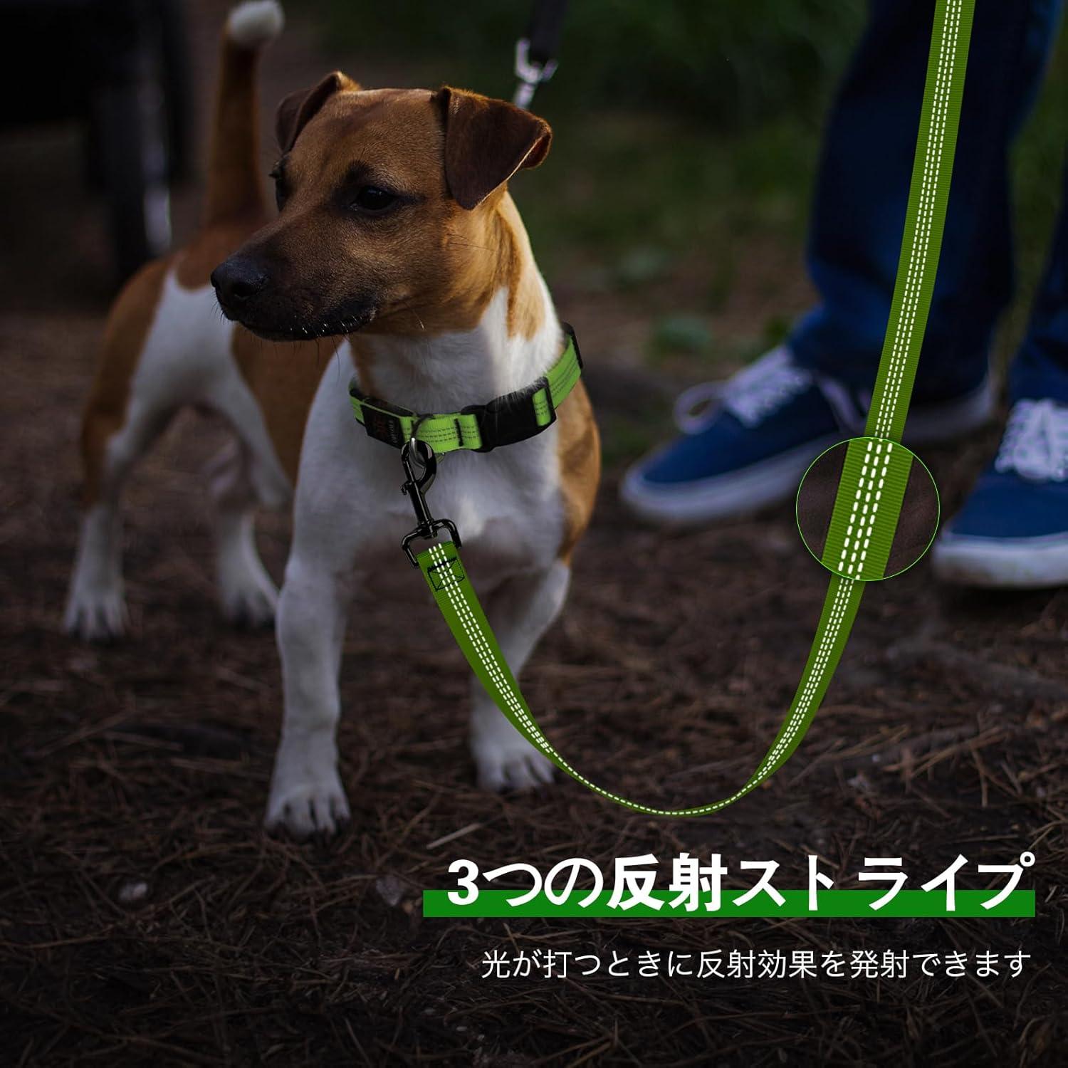 Correa LED Recargable para Perros Dolitego 1.5m Verde