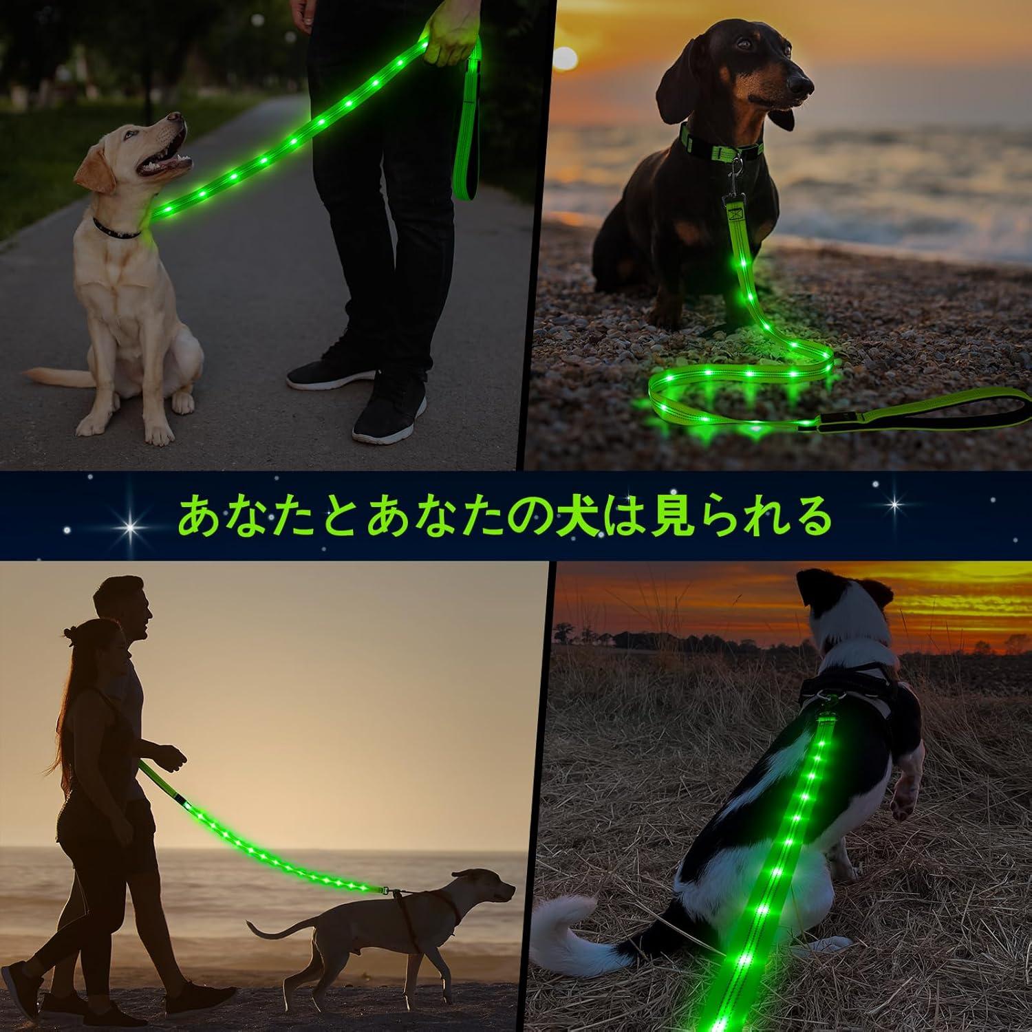 Correa LED Recargable para Perros Dolitego 1.5m Verde