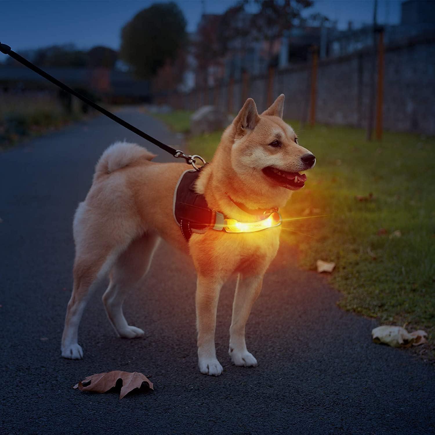 Collar LED para Perro LaRoo Naranja Impermeable 18cm