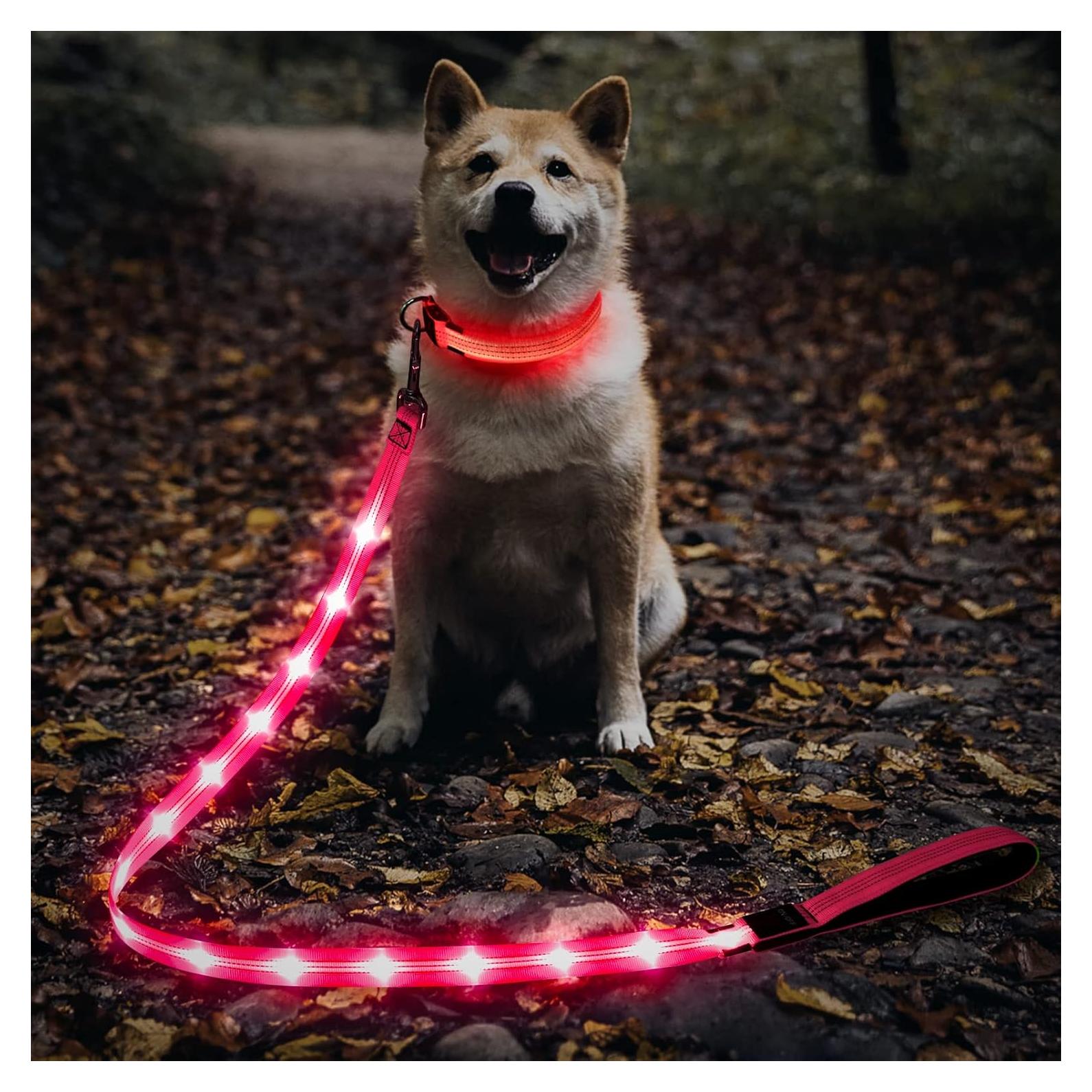 Correa para Perros Illumifun LED Rosa 1 - Recargable USB, Nylon