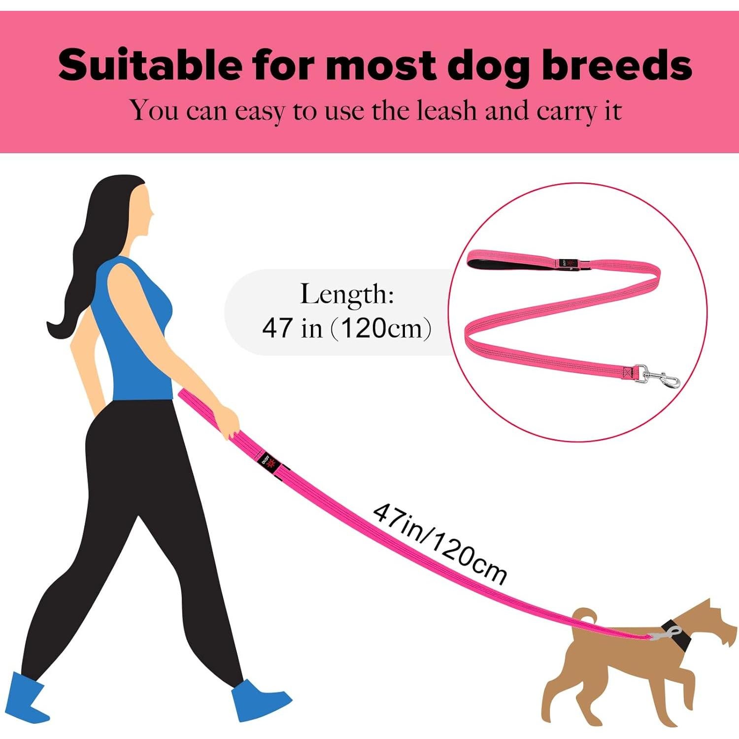 Correa para Perros Illumifun LED Rosa 1 - Recargable USB, Nylon