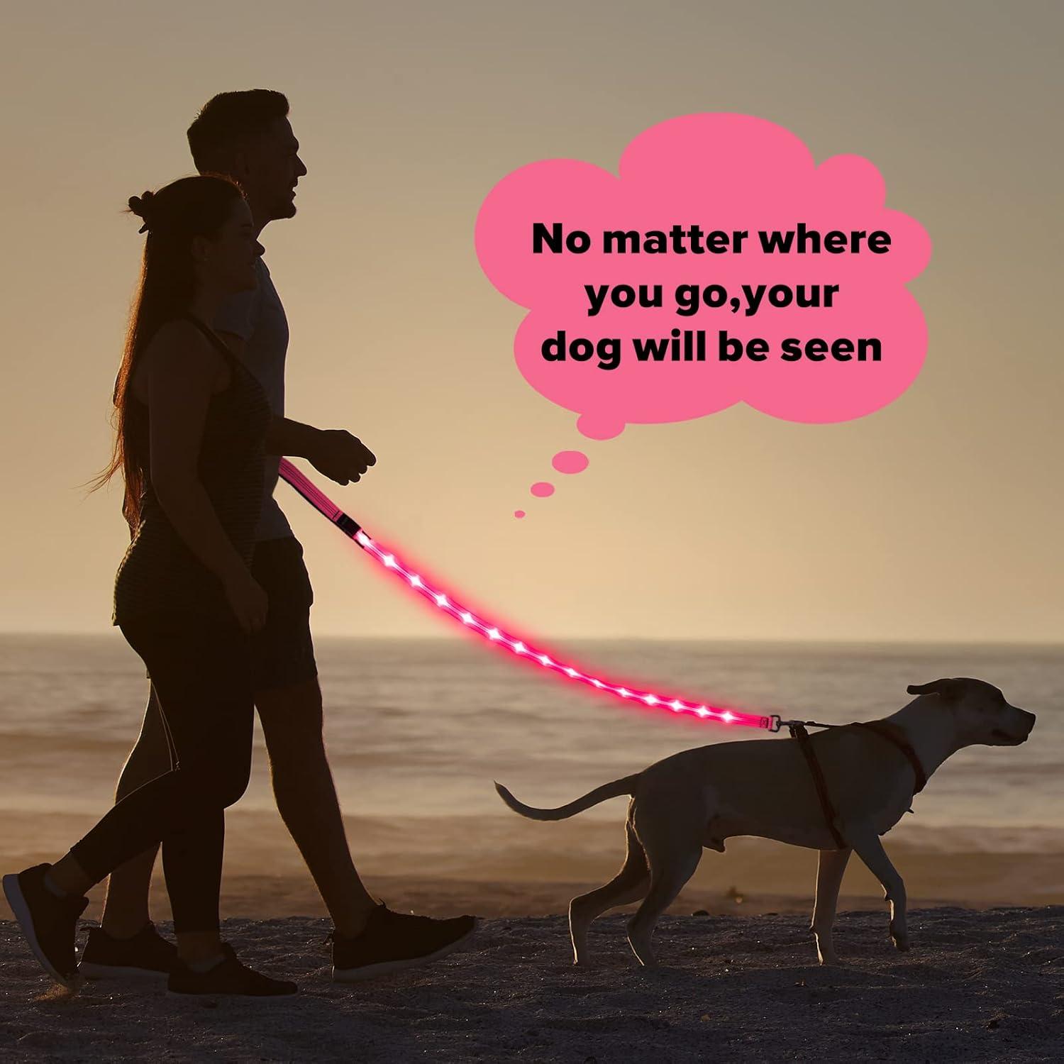 Correa para Perros Illumifun LED Rosa 1 - Recargable USB, Nylon