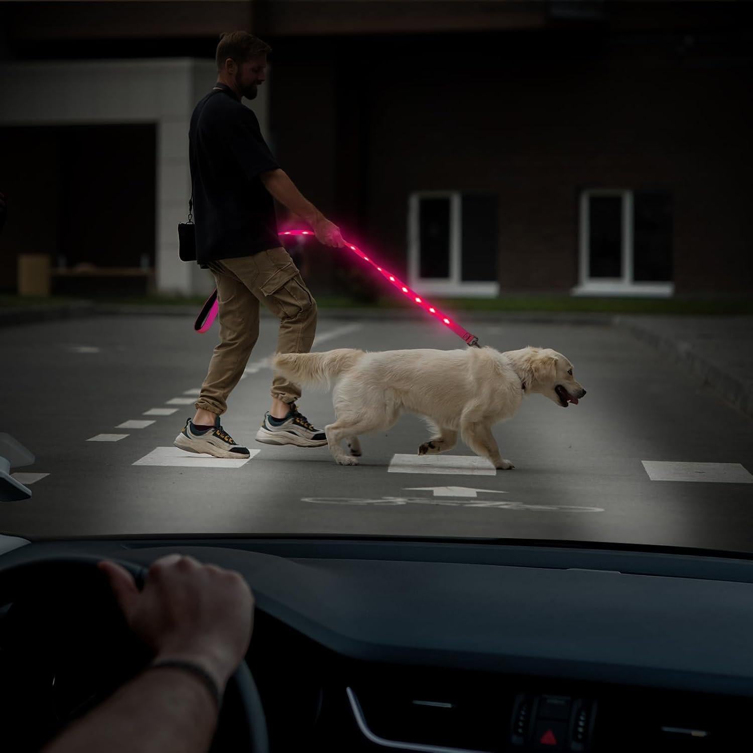 Correa para Perros Illumifun LED Rosa 1 - Recargable USB, Nylon