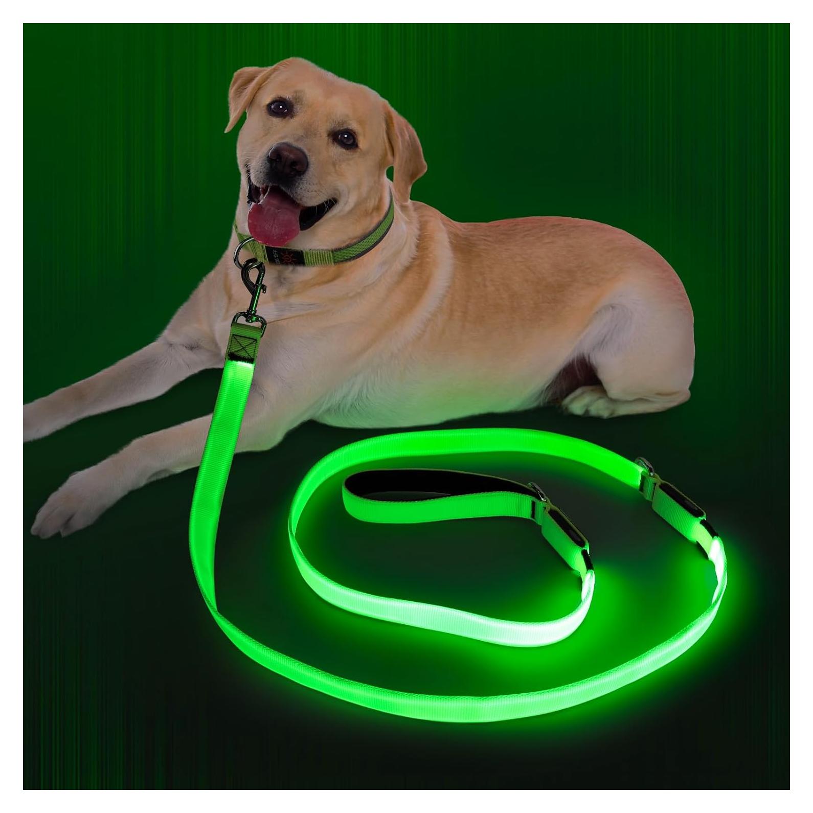 Correa LED para Perros Bisen 180 cm Verde Reflectante