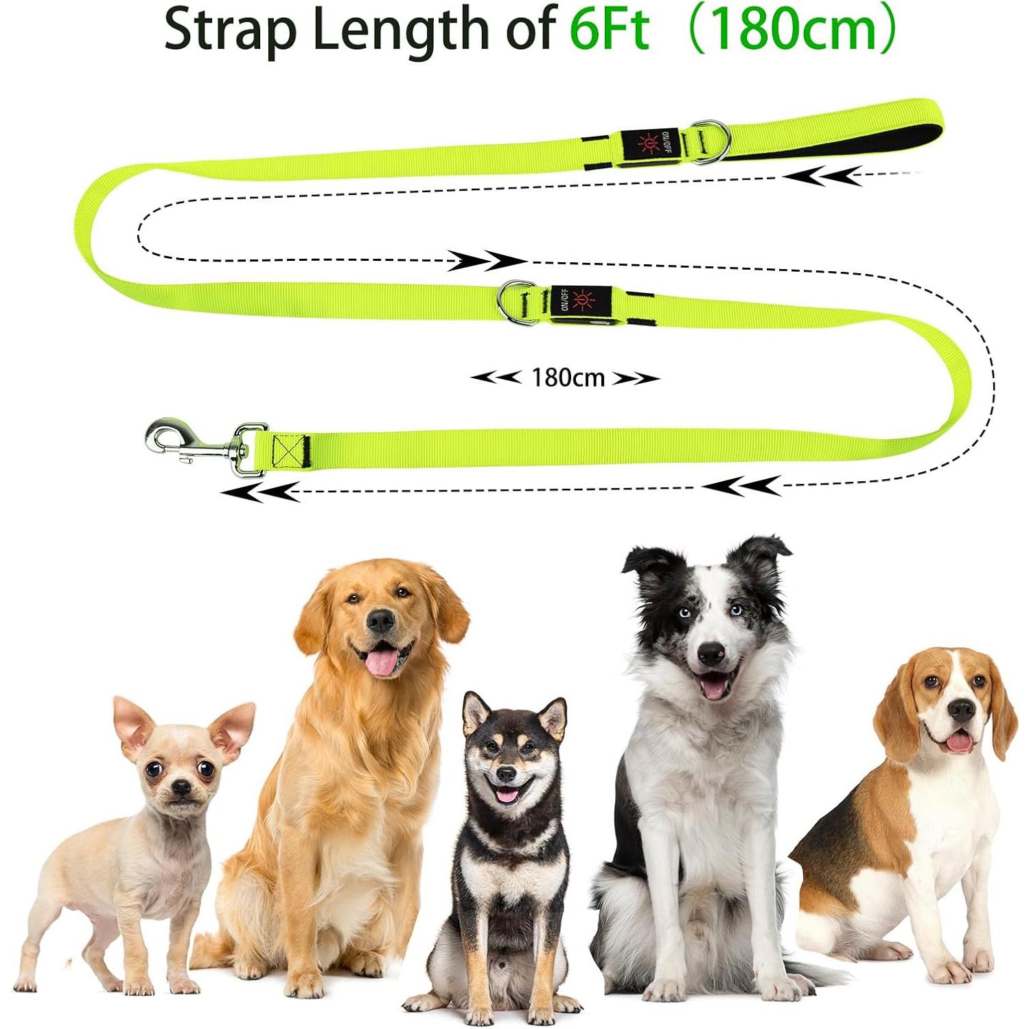 Correa LED para Perros Bisen 180 cm Verde Reflectante
