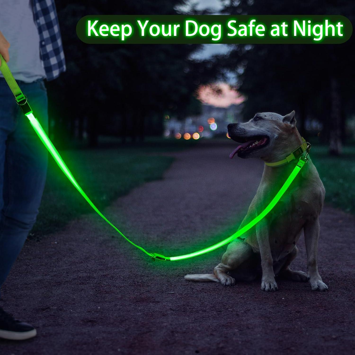 Correa LED para Perros Bisen 180 cm Verde Reflectante